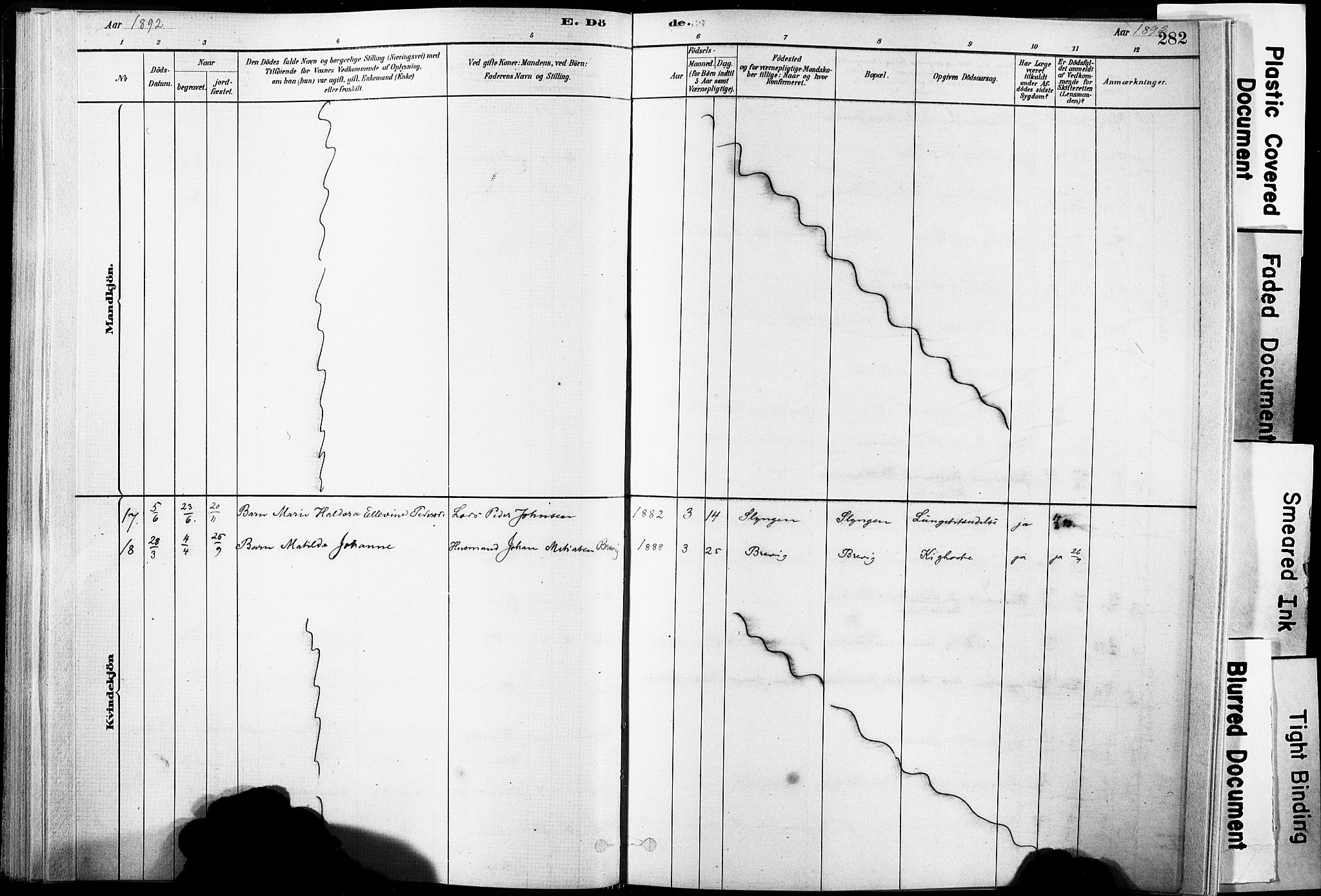 Ministerialprotokoller, klokkerbøker og fødselsregistre - Nordland, SAT/A-1459/835/L0526: Parish register (official) no. 835A03II, 1881-1910, p. 282