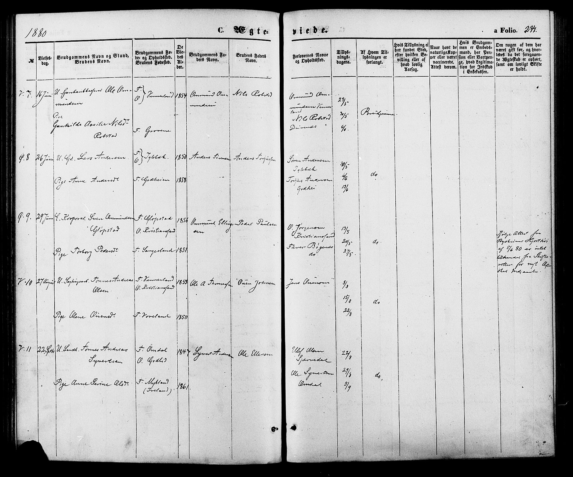 Vennesla sokneprestkontor, SAK/1111-0045/Fa/Fac/L0008: Parish register (official) no. A 8, 1874-1883, p. 234