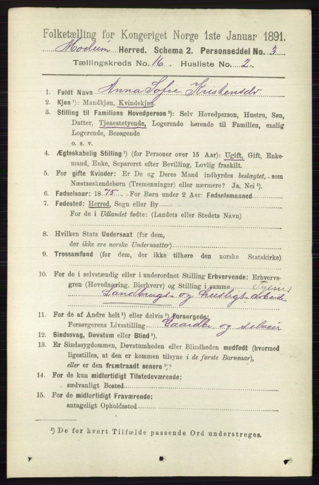 RA, 1891 census for 0623 Modum, 1891, p. 6192