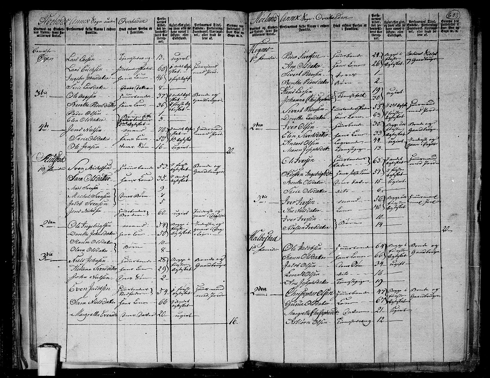 RA, 1801 census for 1744P Overhalla, 1801, p. 602b-603a