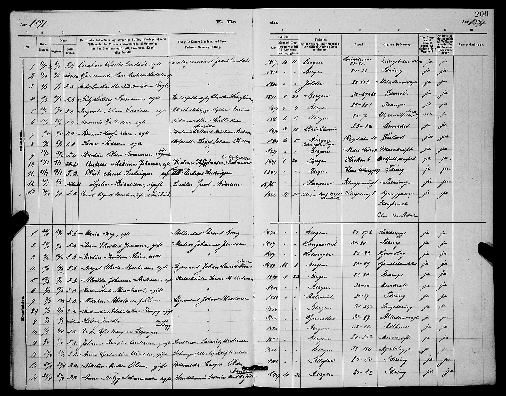 Mariakirken Sokneprestembete, SAB/A-76901/H/Hab/L0004: Parish register (copy) no. A 4, 1878-1892, p. 206