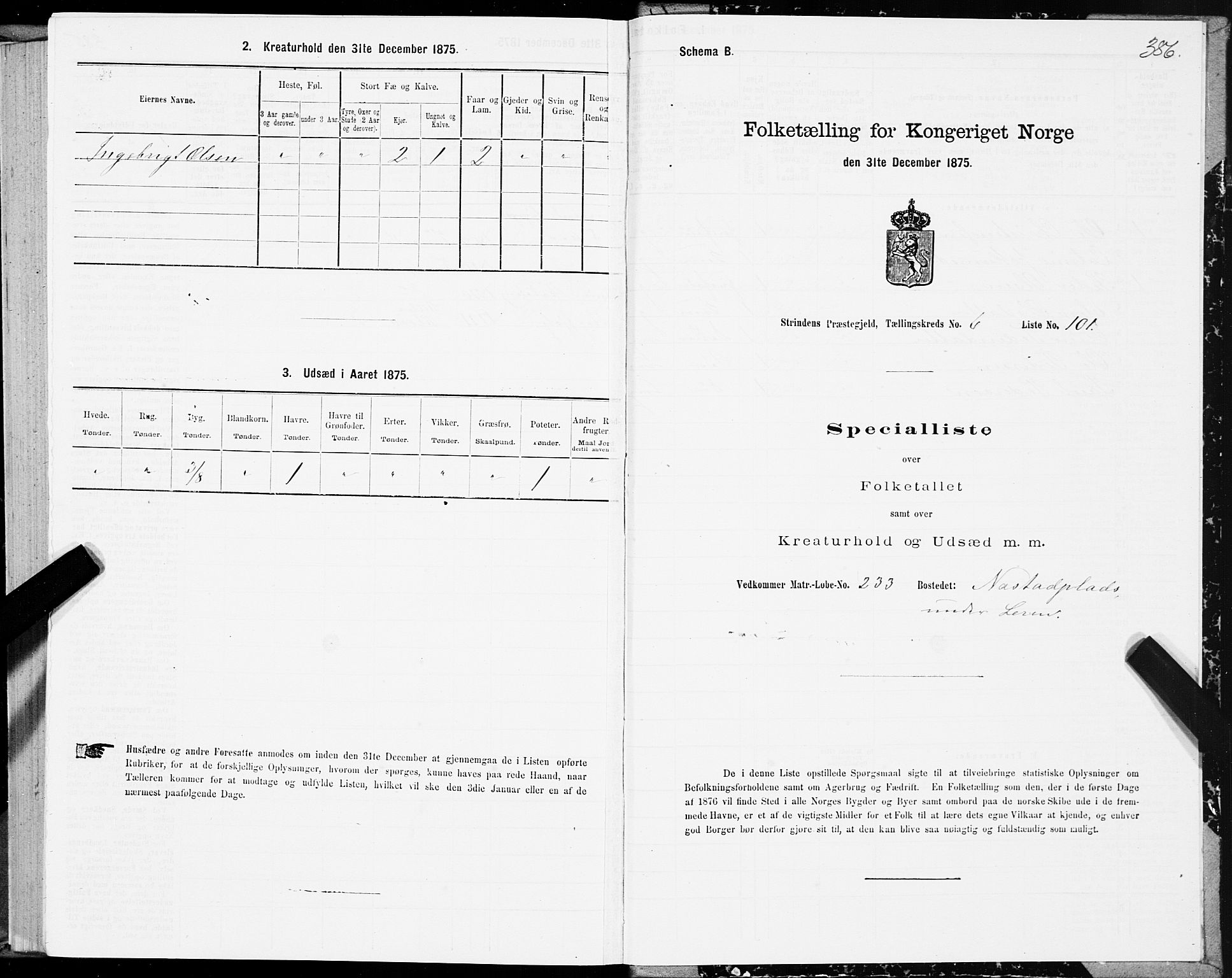 SAT, 1875 census for 1660P Strinda, 1875, p. 3386