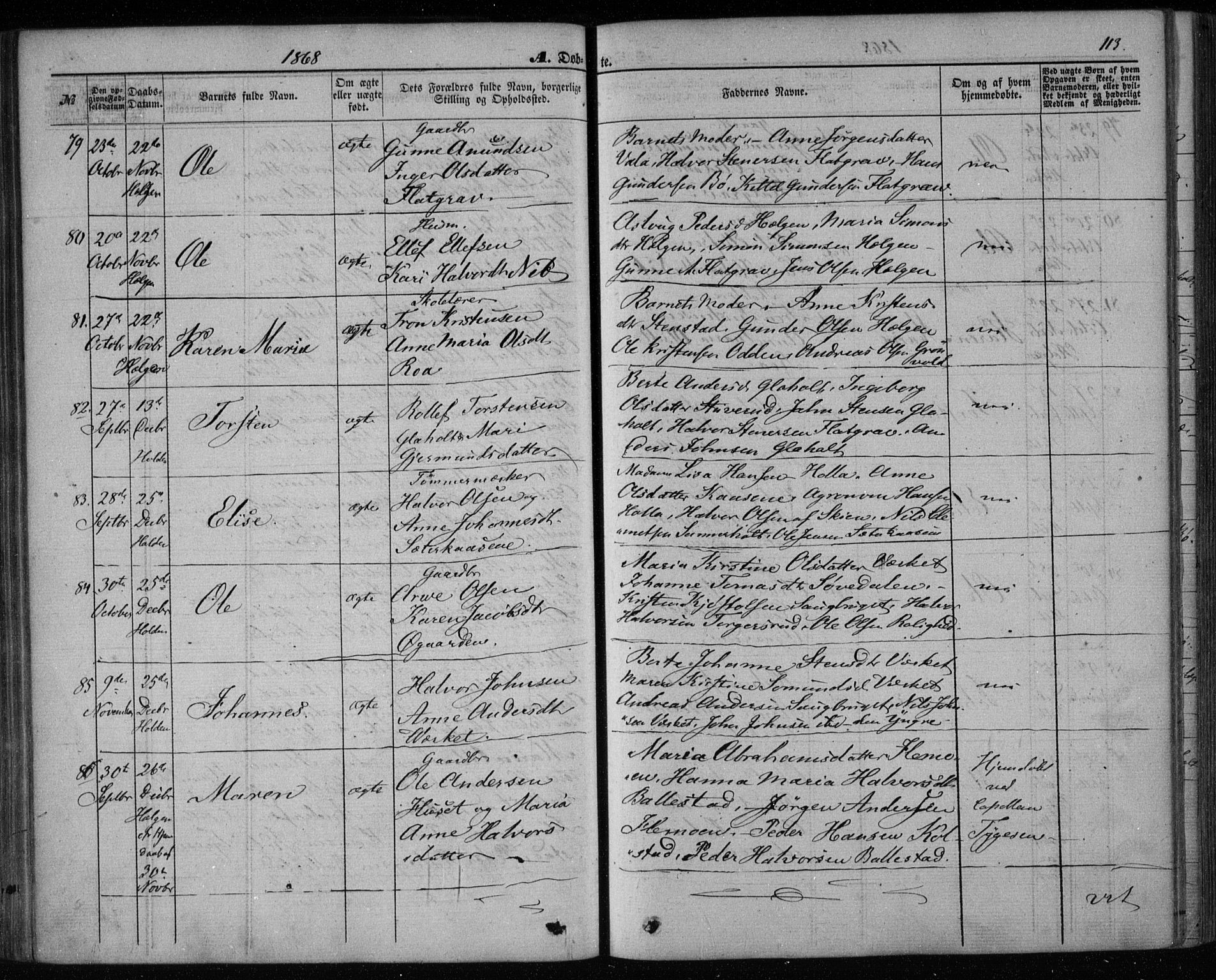 Holla kirkebøker, SAKO/A-272/F/Fa/L0006: Parish register (official) no. 6, 1861-1869, p. 113