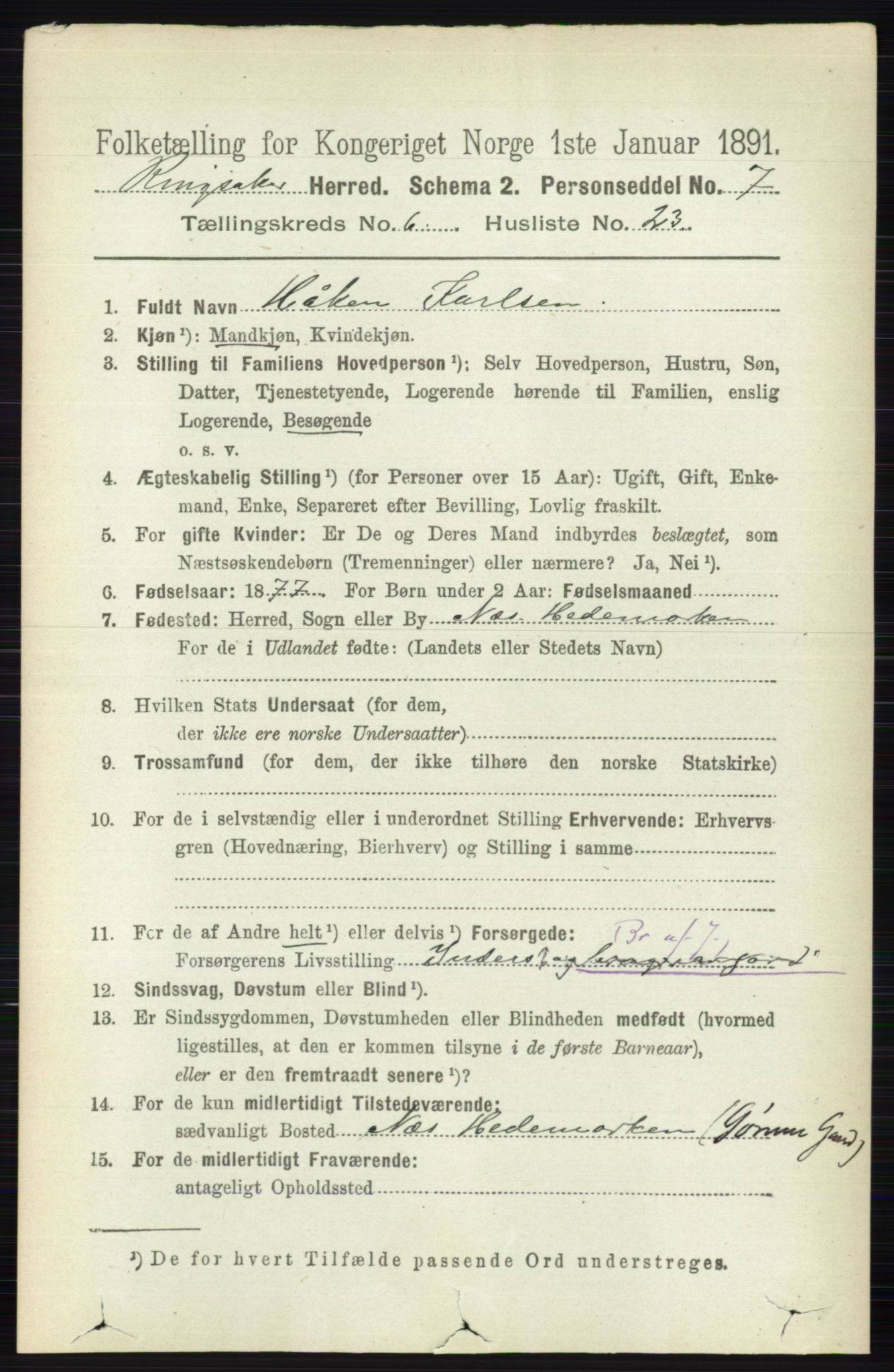 RA, 1891 census for 0412 Ringsaker, 1891, p. 3313