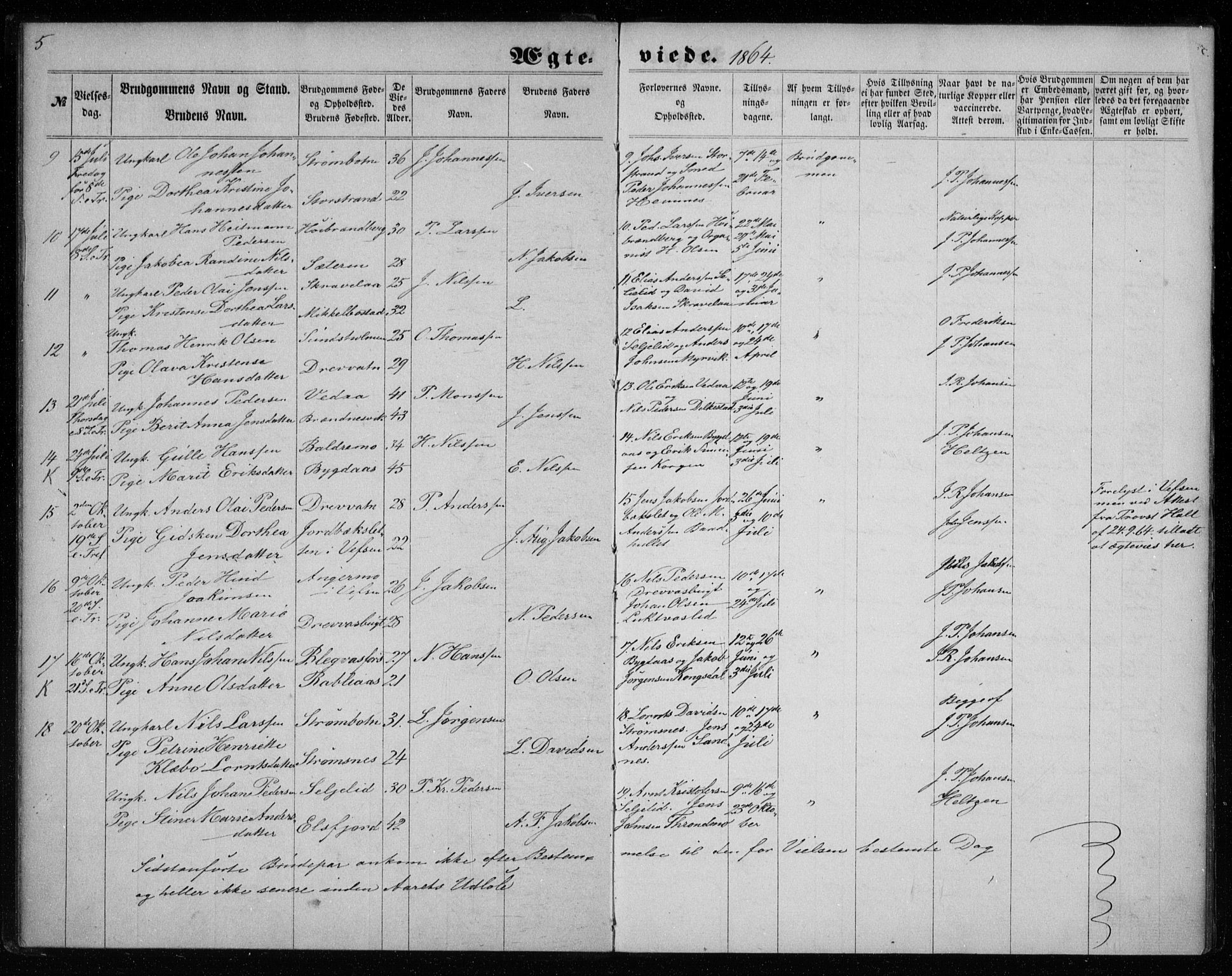 Ministerialprotokoller, klokkerbøker og fødselsregistre - Nordland, AV/SAT-A-1459/825/L0358: Parish register (official) no. 825A12, 1863-1878, p. 5