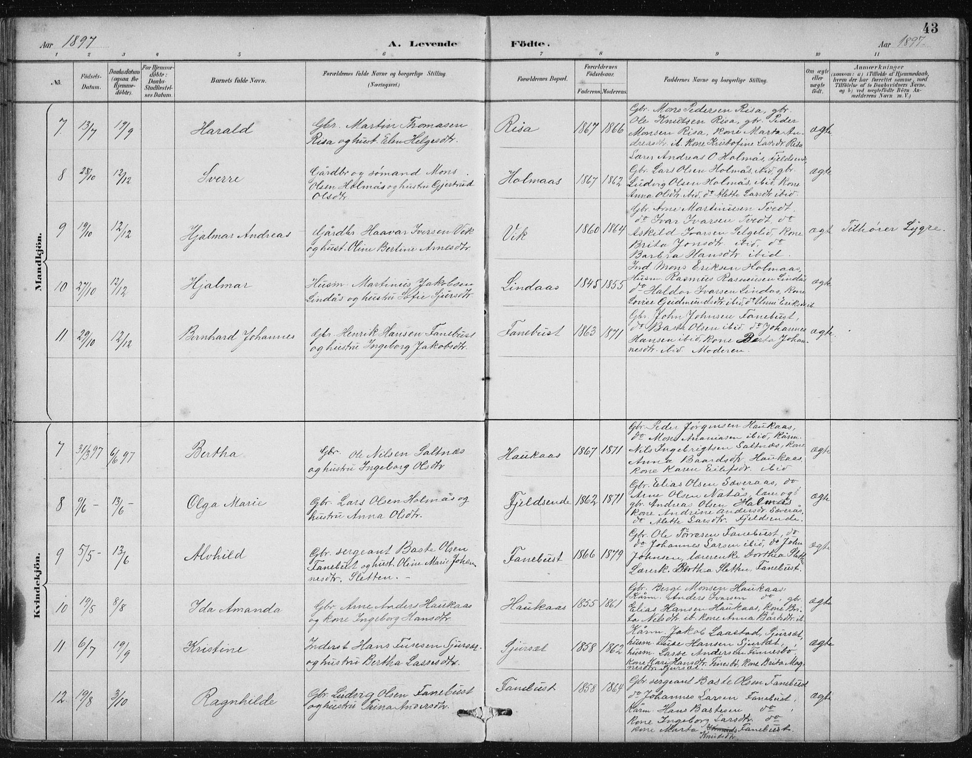 Lindås Sokneprestembete, SAB/A-76701/H/Hab: Parish register (copy) no. B 3, 1886-1914, p. 43