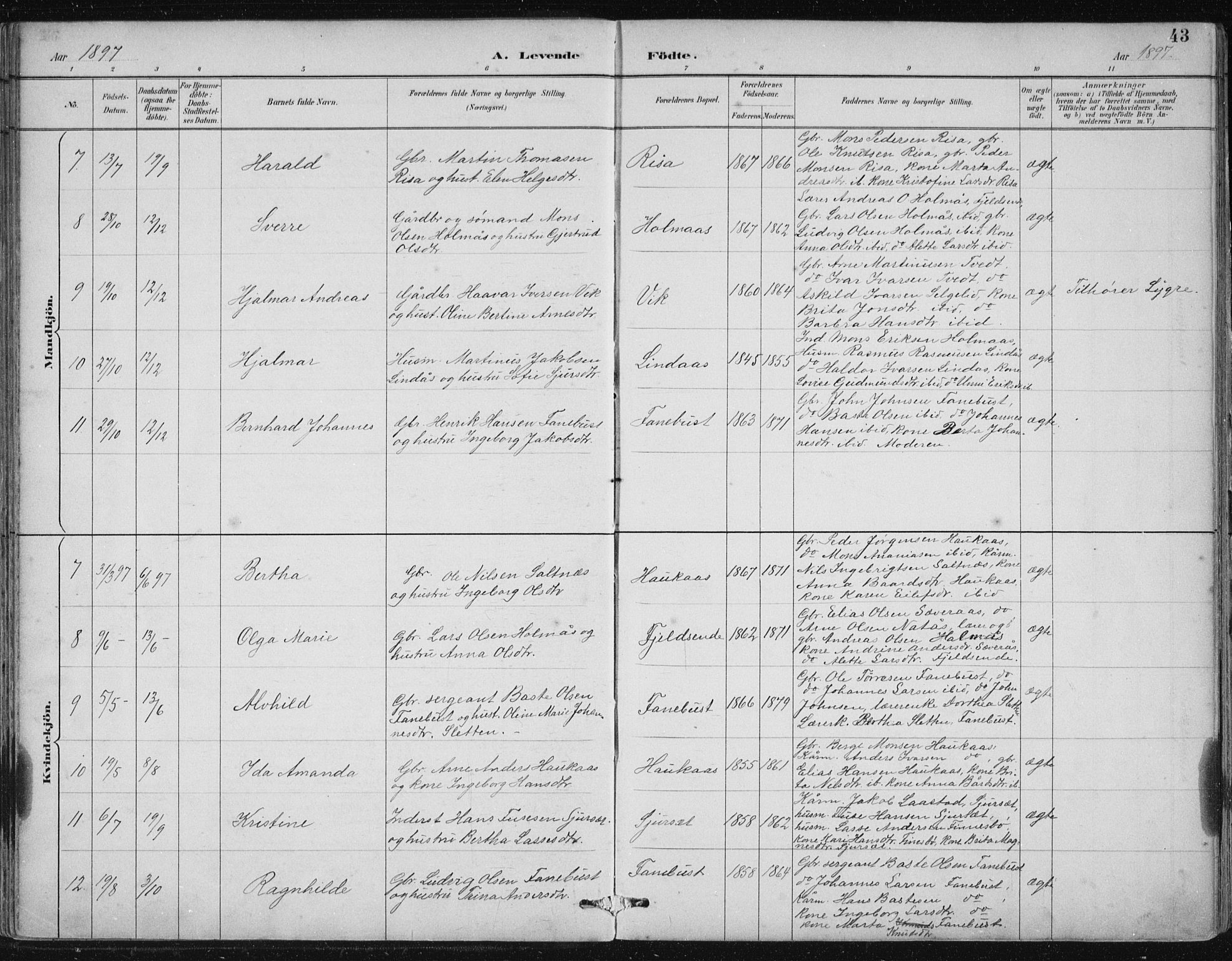 Lindås Sokneprestembete, AV/SAB-A-76701/H/Hab/Habb/L0003: Parish register (copy) no. B 3, 1886-1914, p. 43