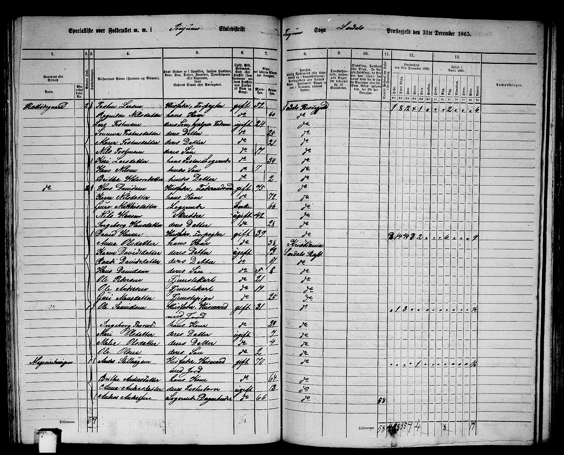 RA, 1865 census for Lærdal, 1865, p. 102