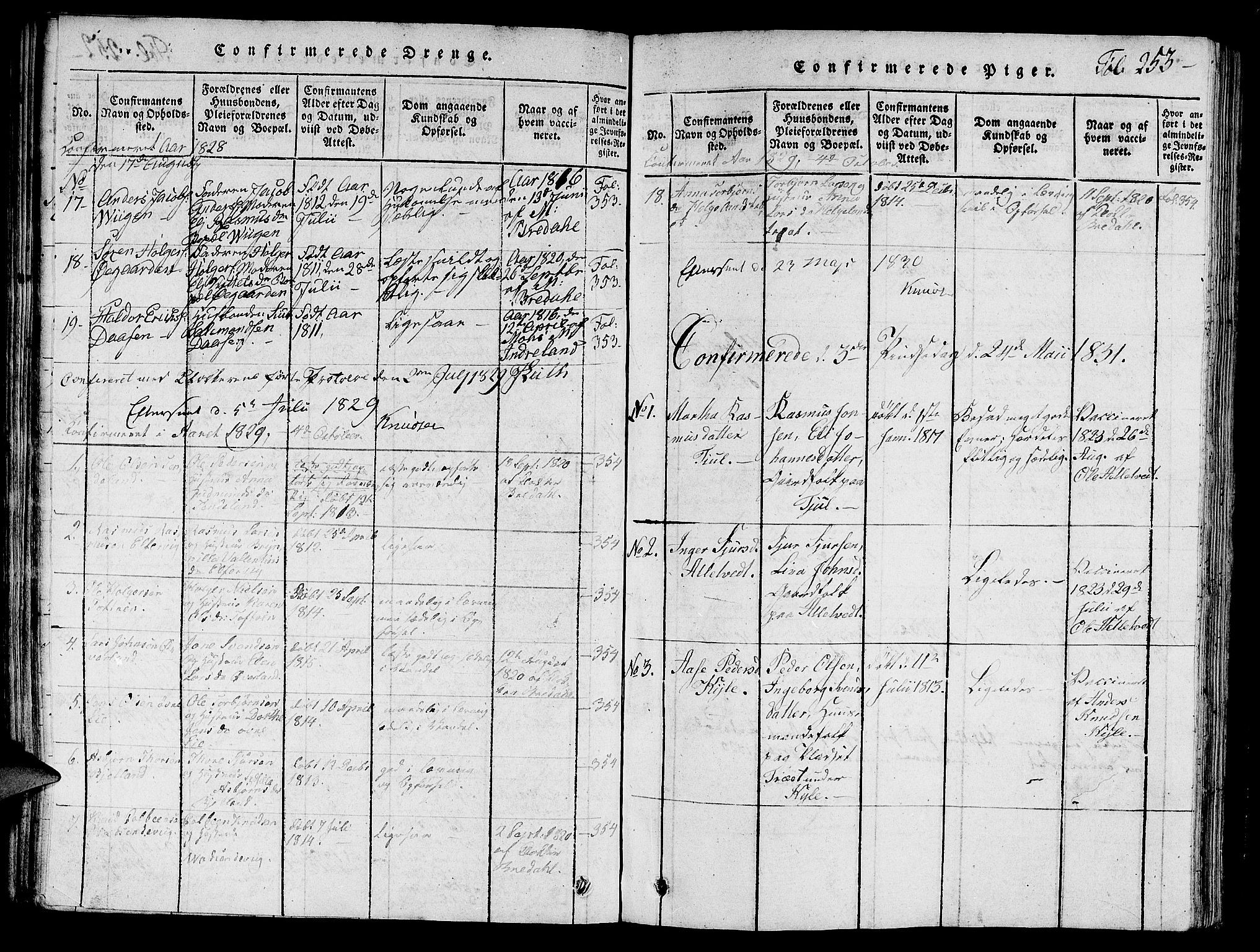 Nedstrand sokneprestkontor, SAST/A-101841/01/V: Parish register (copy) no. B 1 /1, 1816-1847, p. 253