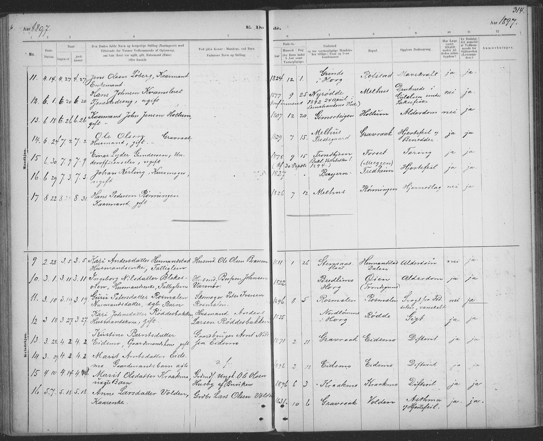Ministerialprotokoller, klokkerbøker og fødselsregistre - Sør-Trøndelag, SAT/A-1456/691/L1085: Parish register (official) no. 691A17, 1887-1908, p. 314