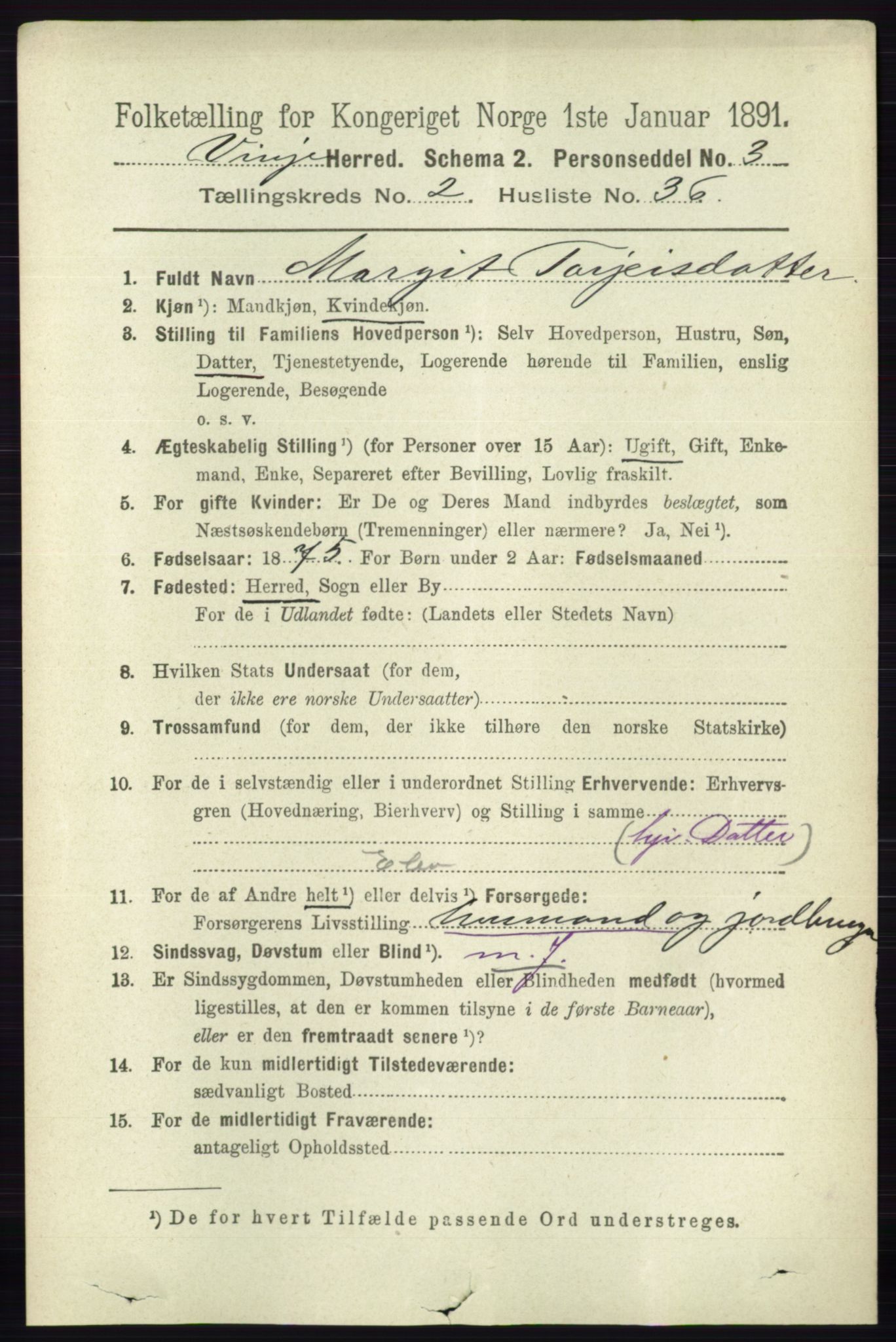 RA, 1891 census for 0834 Vinje, 1891, p. 594