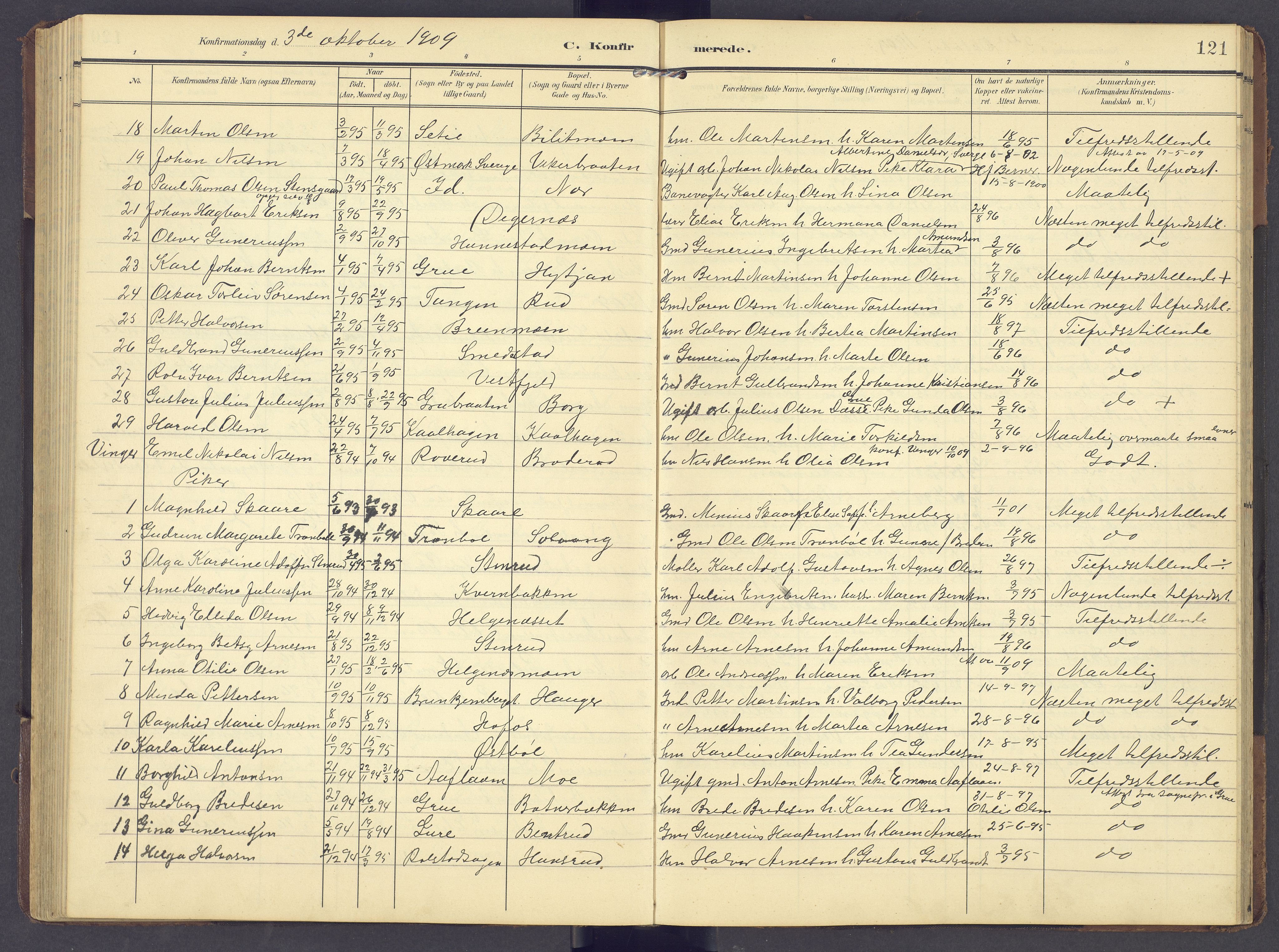 Brandval prestekontor, AV/SAH-PREST-034/H/Ha/Hab/L0003: Parish register (copy) no. 3, 1904-1917, p. 121