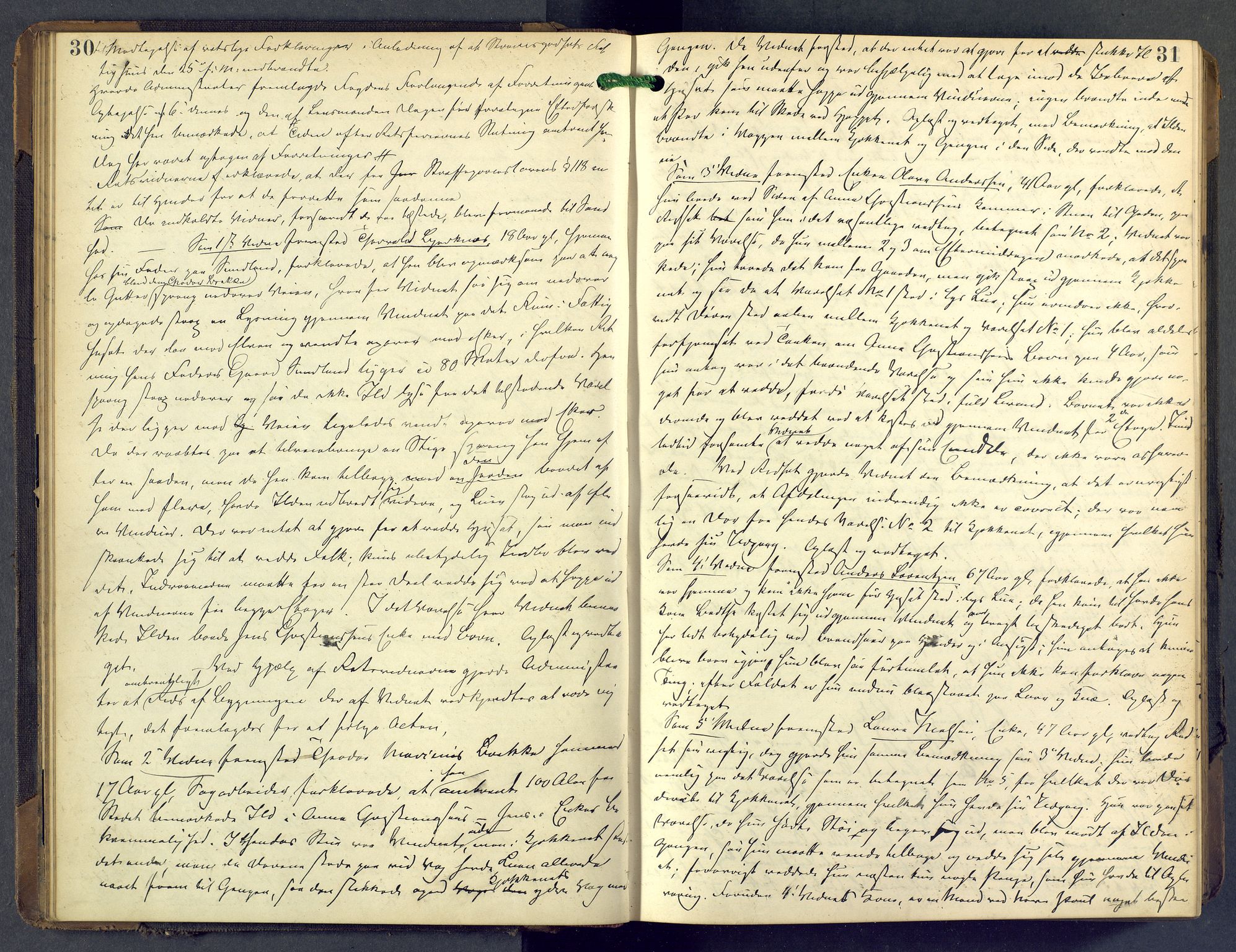 Nordre Jarlsberg sorenskriveri, AV/SAKO-A-80/F/Fb/Fba/L0028: Ekstrarettsprotokoll, 1891-1897, p. 30-31