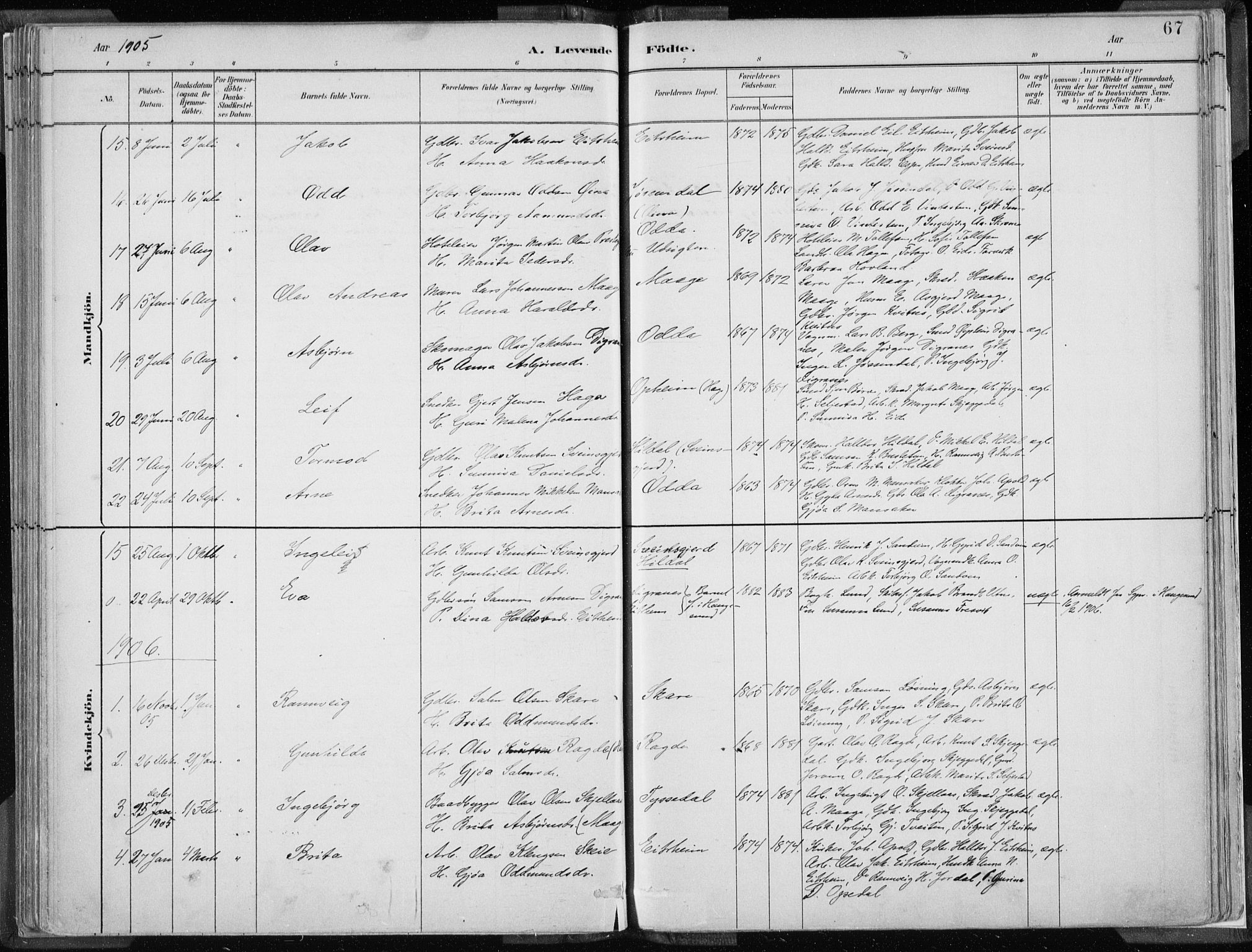 Odda Sokneprestembete, SAB/A-77201/H/Haa: Parish register (official) no. A  3, 1882-1913, p. 67