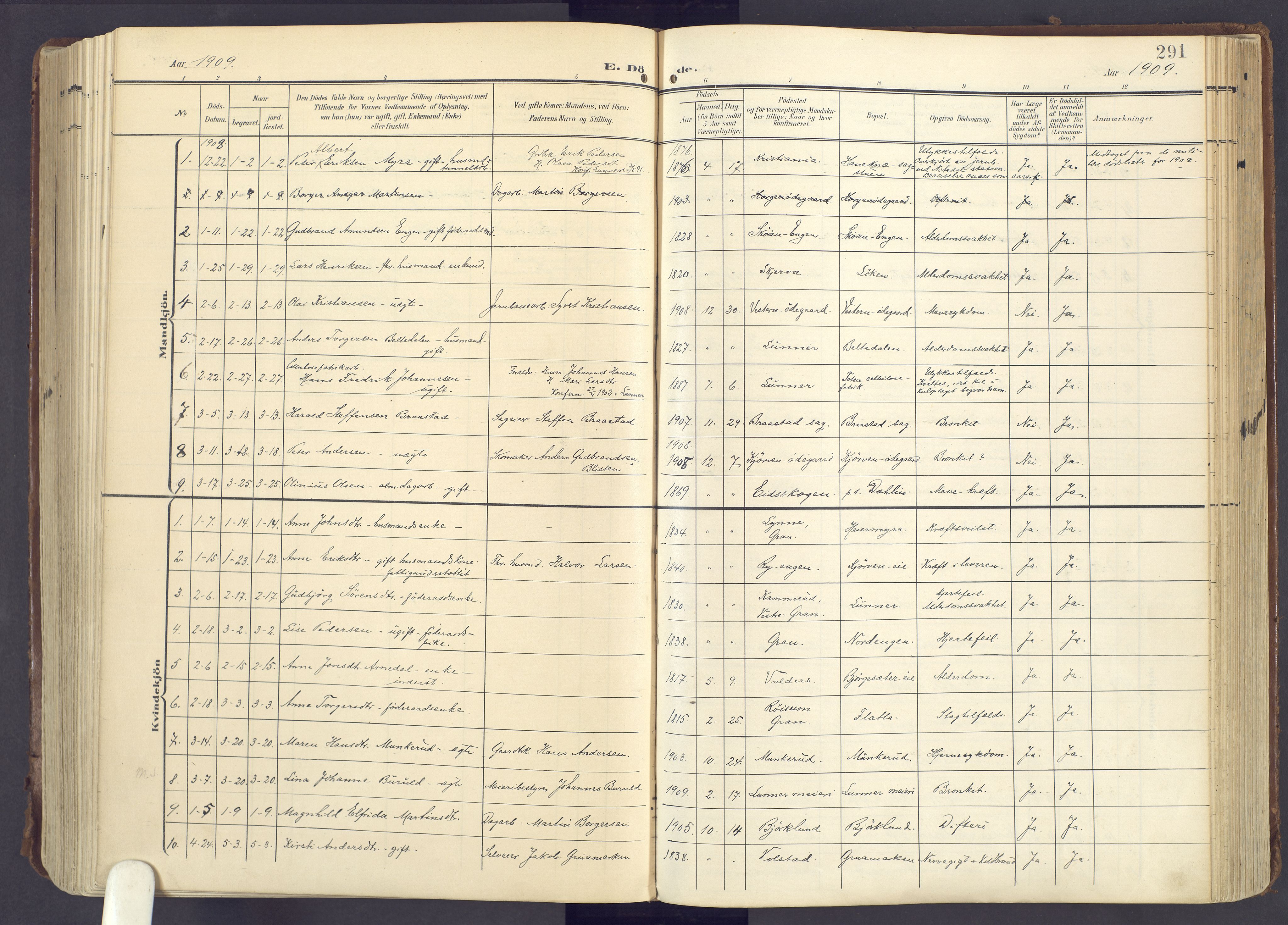 Lunner prestekontor, SAH/PREST-118/H/Ha/Haa/L0001: Parish register (official) no. 1, 1907-1922, p. 291