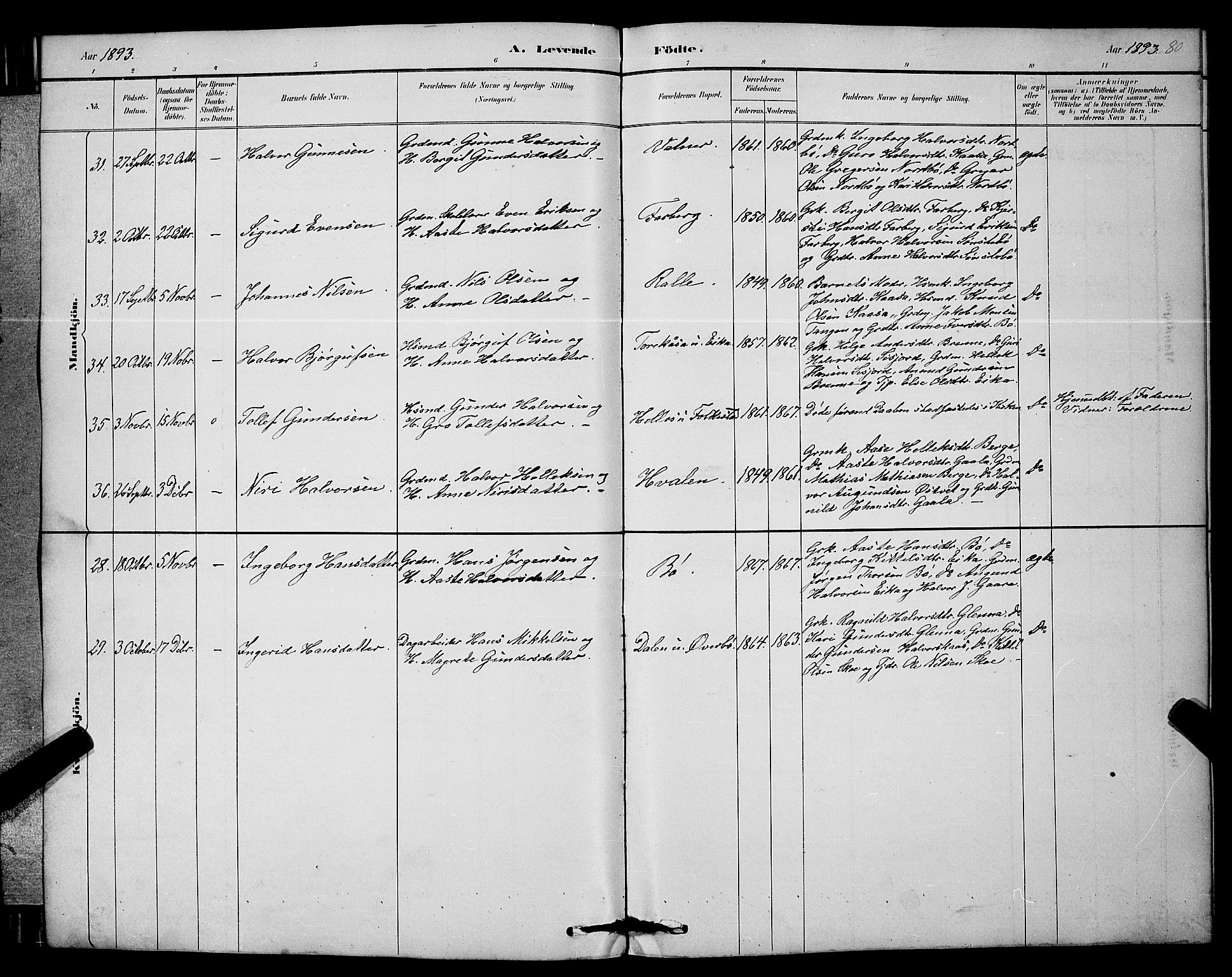 Bø kirkebøker, SAKO/A-257/G/Ga/L0005: Parish register (copy) no. 5, 1883-1897, p. 80