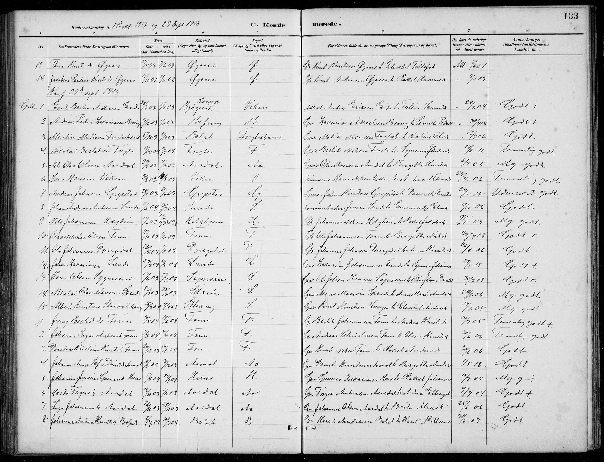 Jølster sokneprestembete, SAB/A-80701/H/Hab/Habb/L0002: Parish register (copy) no. B 2, 1887-1920, p. 133