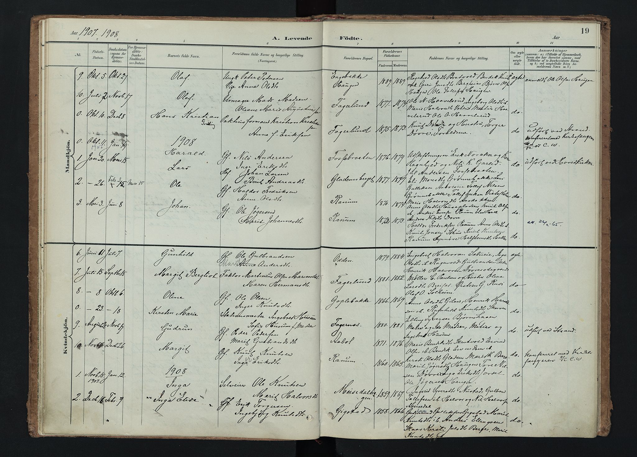 Nord-Aurdal prestekontor, SAH/PREST-132/H/Ha/Haa/L0015: Parish register (official) no. 15, 1896-1914, p. 19