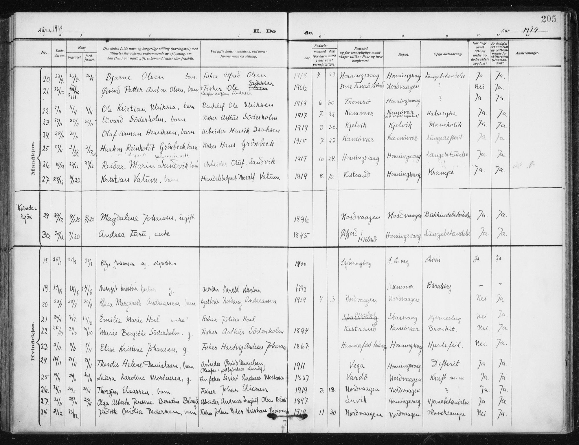 Kjelvik/Nordkapp sokneprestkontor, SATØ/S-1350/H/Ha/L0001kirke: Parish register (official) no. 1, 1911-1919, p. 205