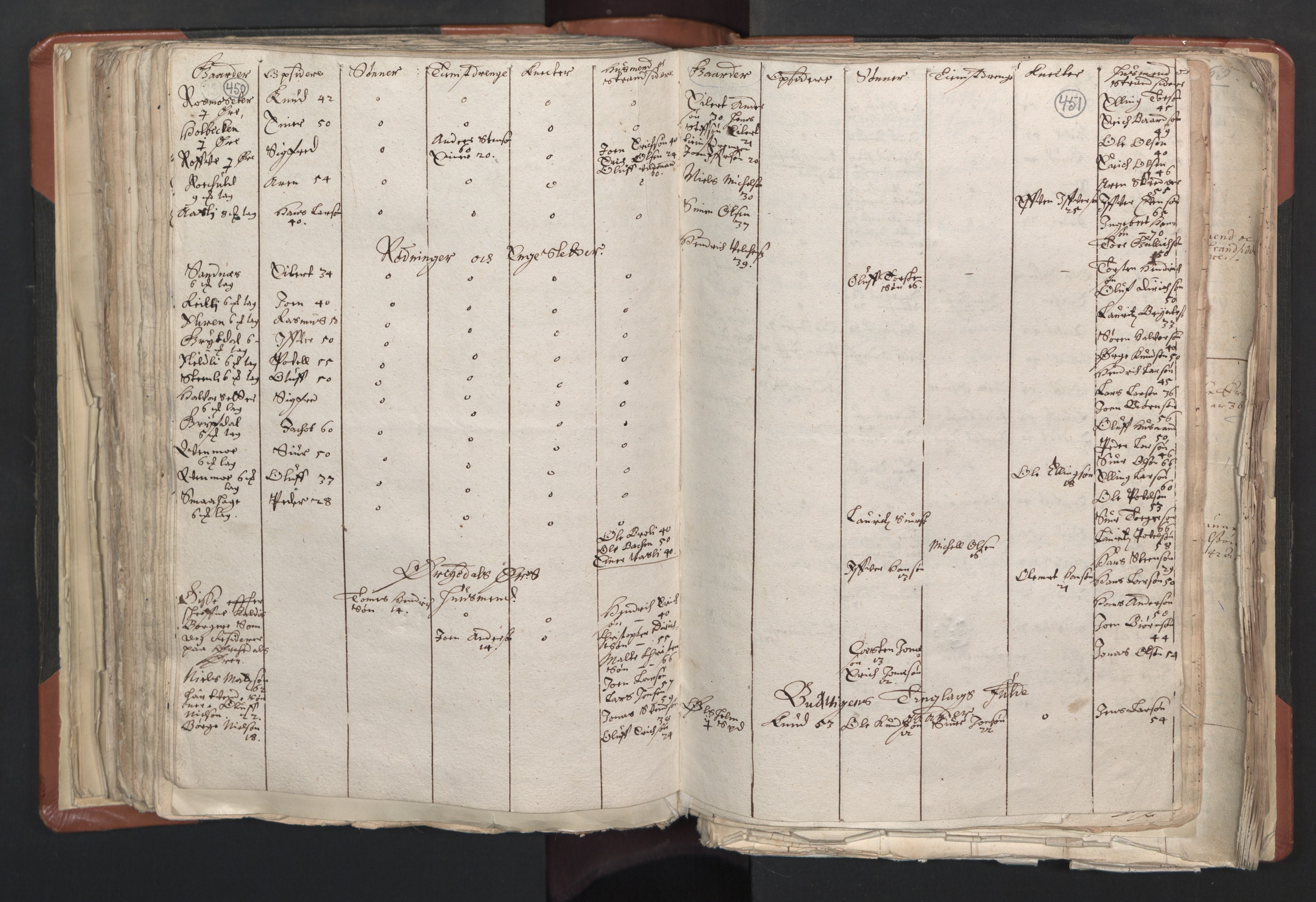 RA, Vicar's Census 1664-1666, no. 31: Dalane deanery, 1664-1666, p. 450-451