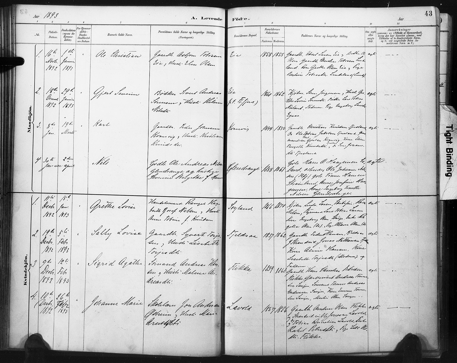 Flekkefjord sokneprestkontor, AV/SAK-1111-0012/F/Fa/Fac/L0008: Parish register (official) no. A 8, 1885-1898, p. 43