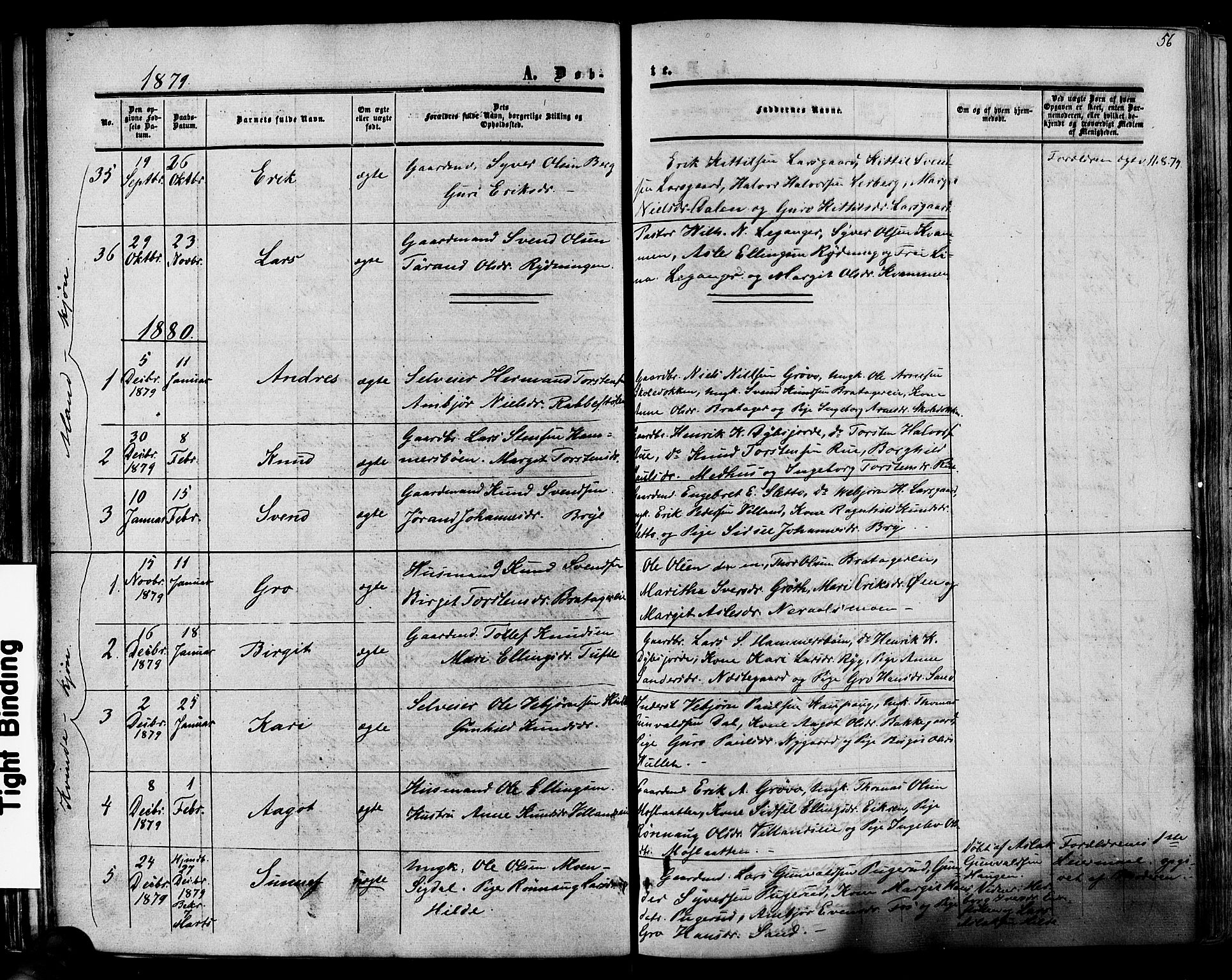 Hol kirkebøker, AV/SAKO-A-227/F/Fa/L0002: Parish register (official) no. I 2, 1870-1886, p. 56