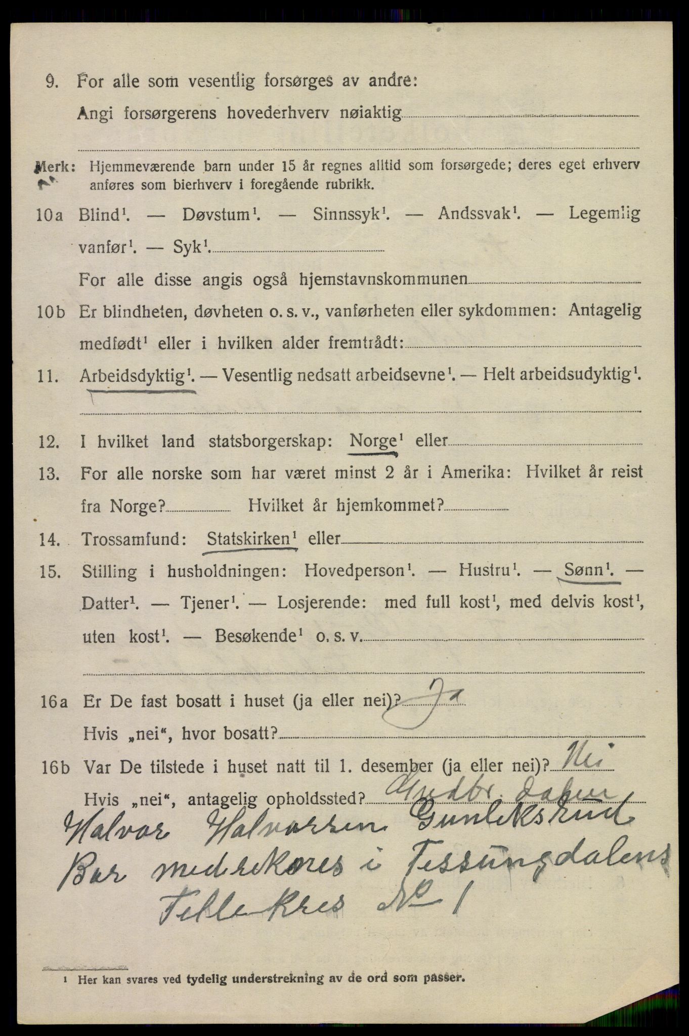 SAKO, 1920 census for Tinn, 1920, p. 2715