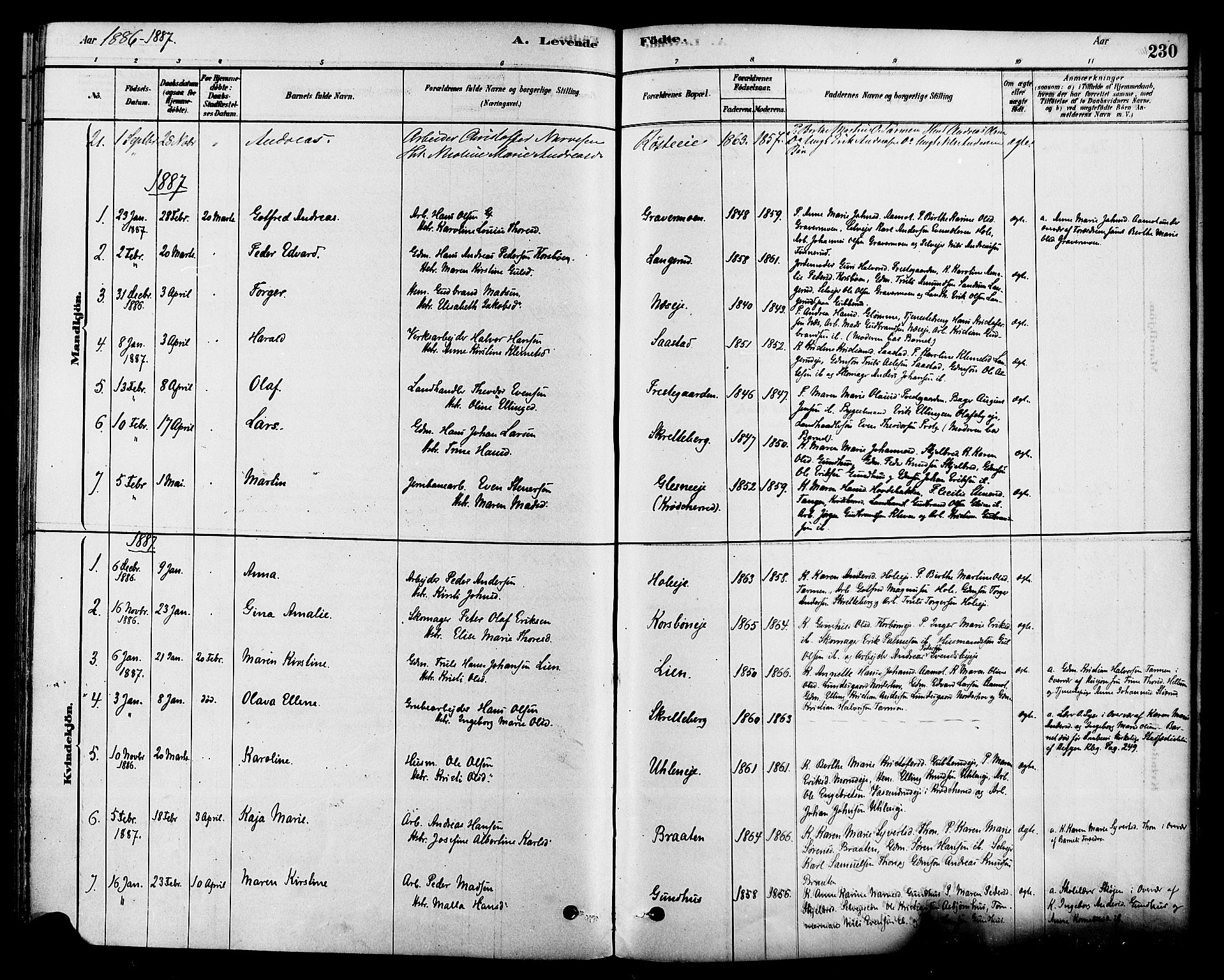 Modum kirkebøker, AV/SAKO-A-234/F/Fa/L0015: Parish register (official) no. 15 /2, 1877-1889, p. 230