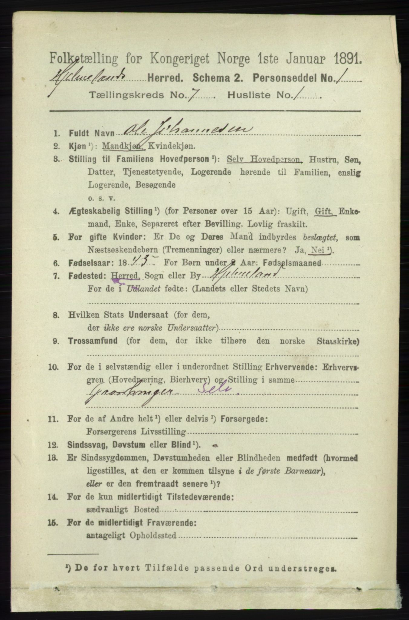 RA, 1891 census for 1133 Hjelmeland, 1891, p. 1949