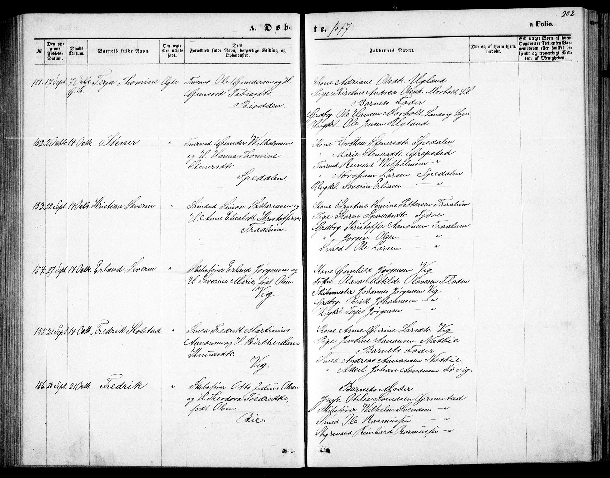 Fjære sokneprestkontor, AV/SAK-1111-0011/F/Fb/L0010: Parish register (copy) no. B 10, 1871-1880, p. 202