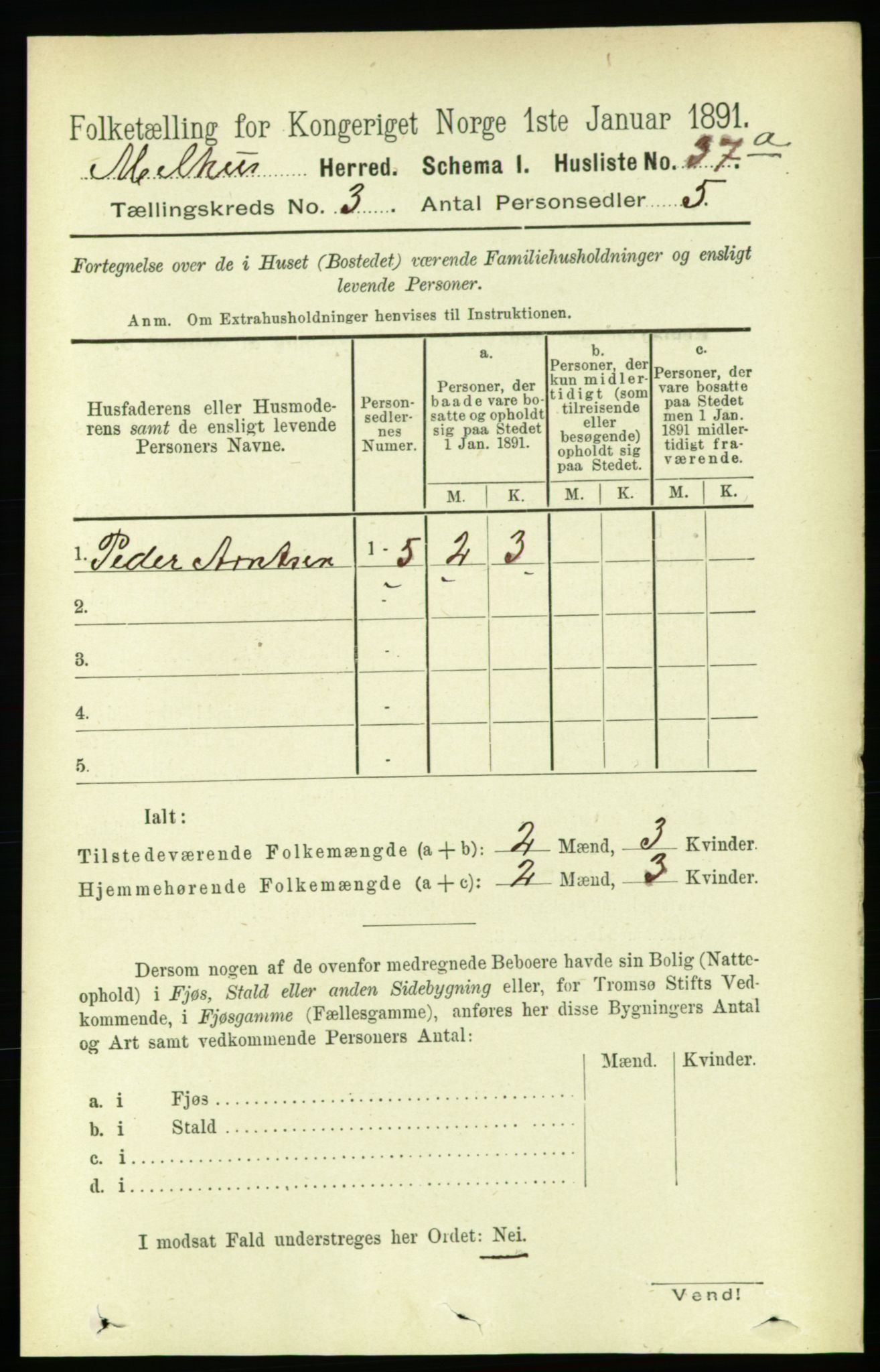 RA, 1891 census for 1653 Melhus, 1891, p. 1310