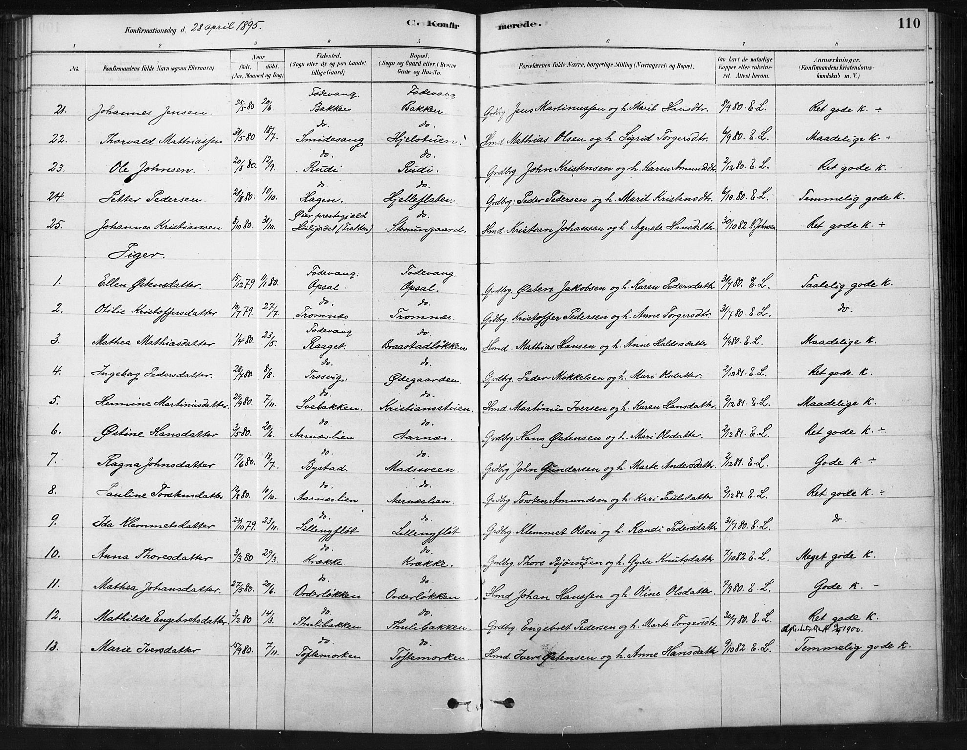 Ringebu prestekontor, SAH/PREST-082/H/Ha/Haa/L0009: Parish register (official) no. 9, 1878-1898, p. 110