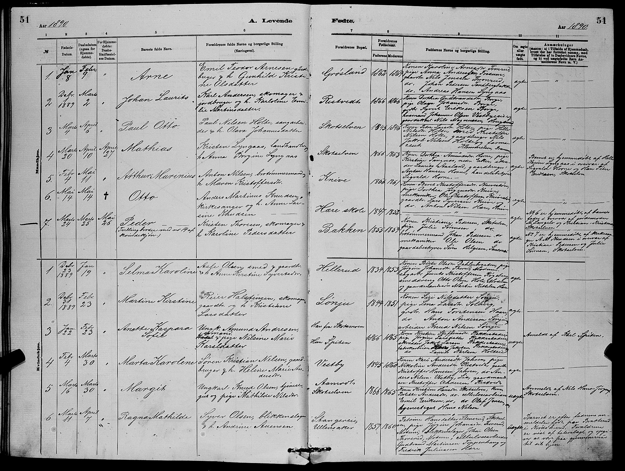 Eiker kirkebøker, AV/SAKO-A-4/G/Gb/L0003: Parish register (copy) no. II 3, 1880-1893, p. 51