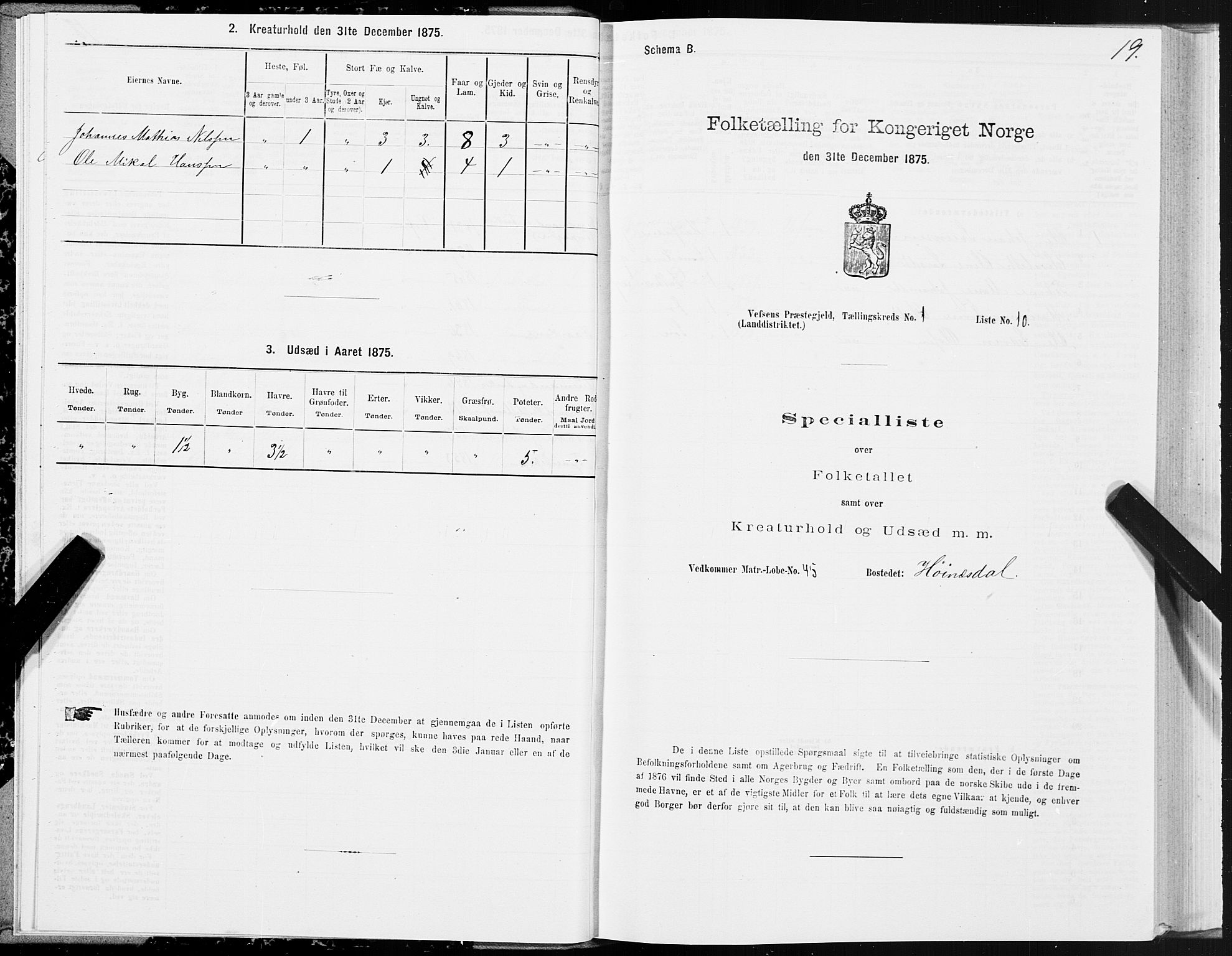 SAT, 1875 census for 1824L Vefsn/Vefsn, 1875, p. 1019