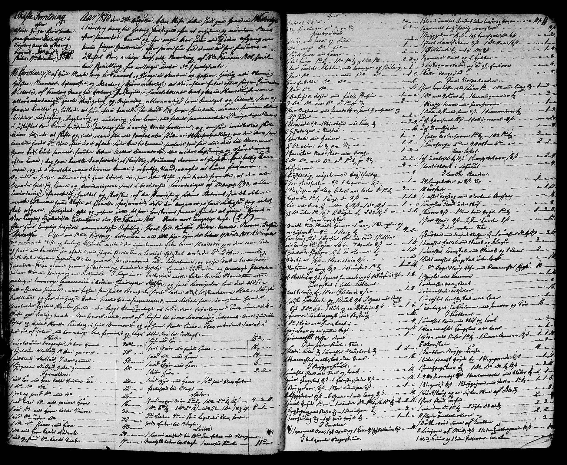 Heggen og Frøland sorenskriveri I, AV/SAO-A-11556/H/Hb/L0011: Skifteprotokoll, 1810-1822, p. 10b-11a