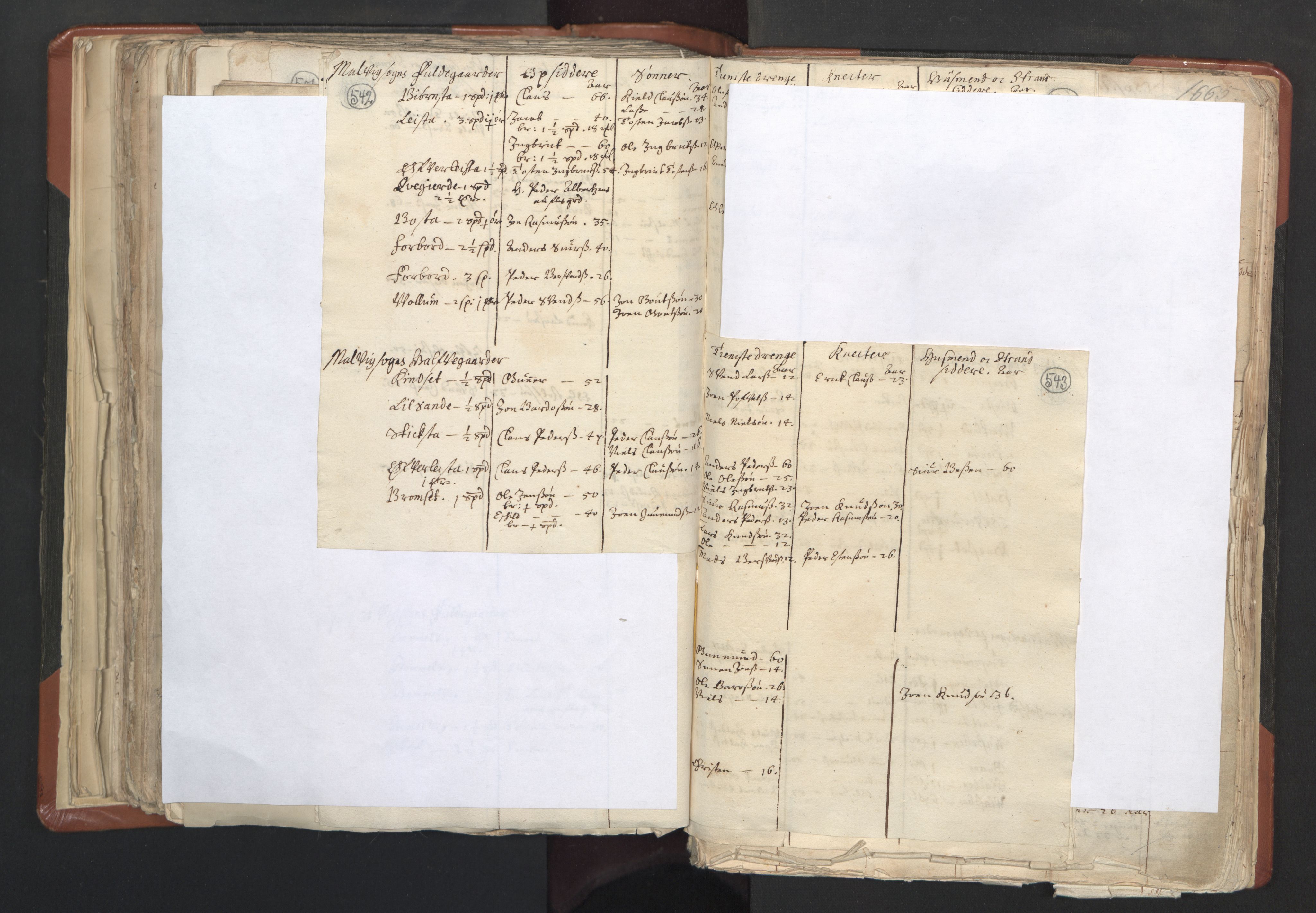 RA, Vicar's Census 1664-1666, no. 31: Dalane deanery, 1664-1666, p. 542-543