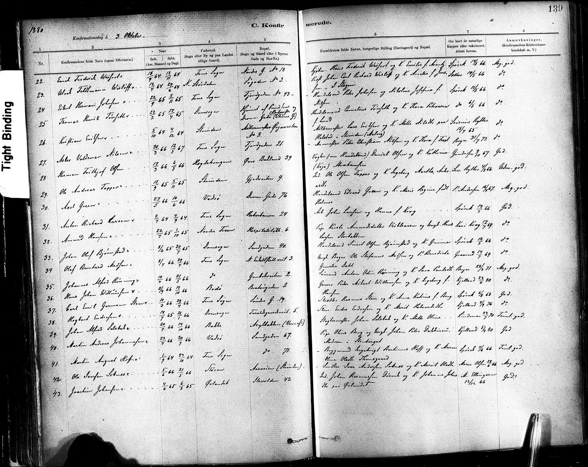 Ministerialprotokoller, klokkerbøker og fødselsregistre - Sør-Trøndelag, SAT/A-1456/602/L0119: Parish register (official) no. 602A17, 1880-1901, p. 139