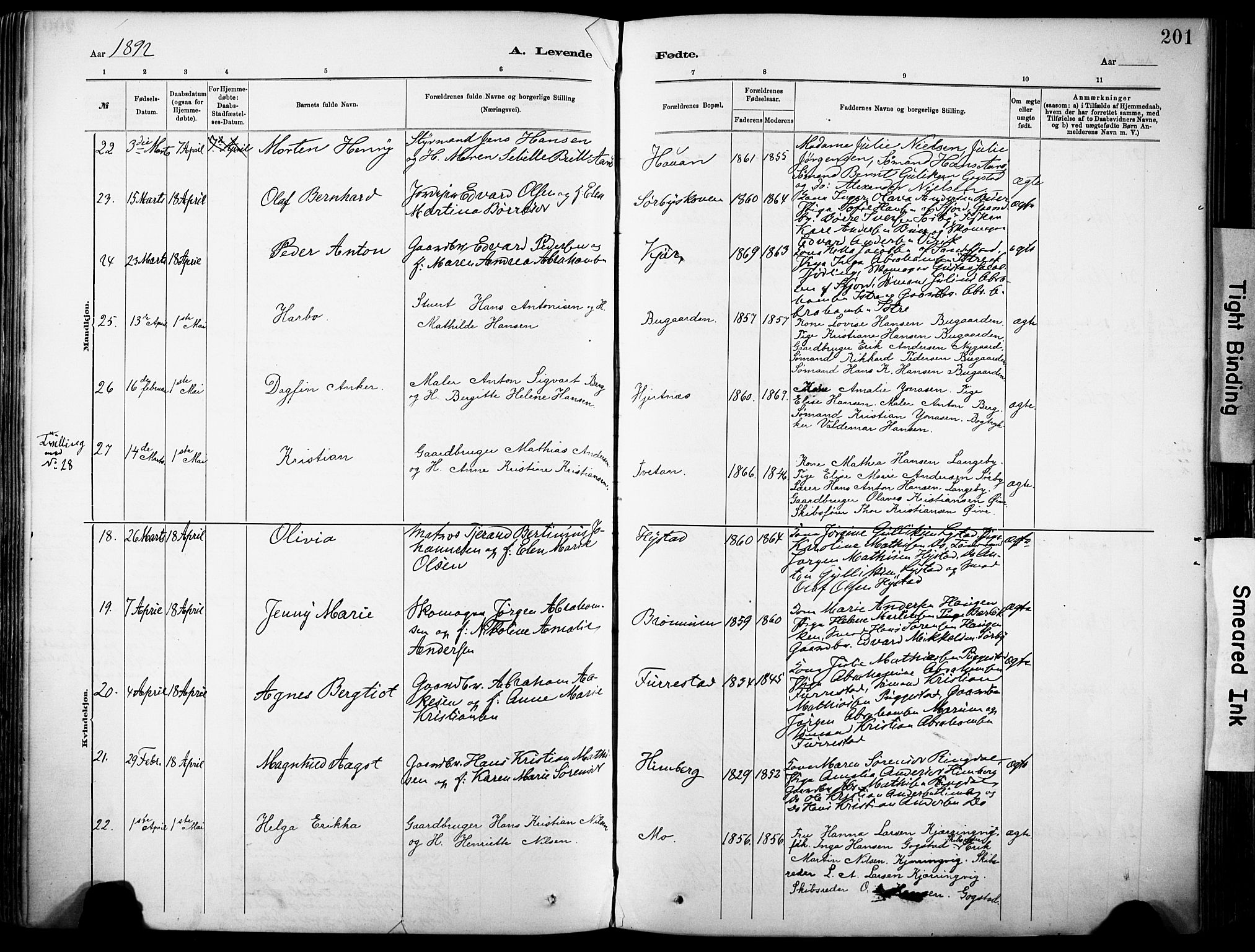 Sandar kirkebøker, AV/SAKO-A-243/F/Fa/L0012: Parish register (official) no. 12, 1883-1895, p. 201