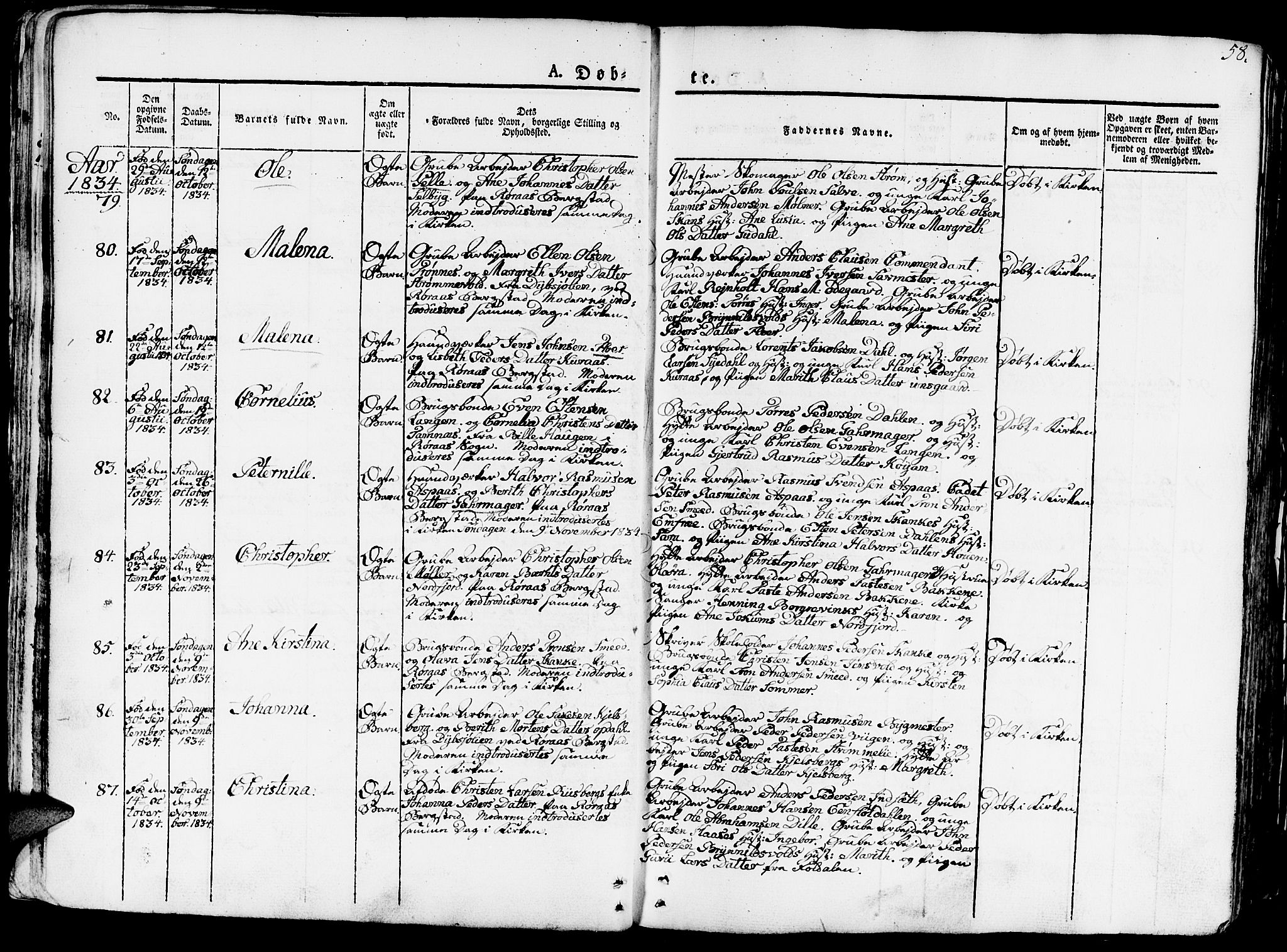 Ministerialprotokoller, klokkerbøker og fødselsregistre - Sør-Trøndelag, SAT/A-1456/681/L0938: Parish register (copy) no. 681C02, 1829-1879, p. 58