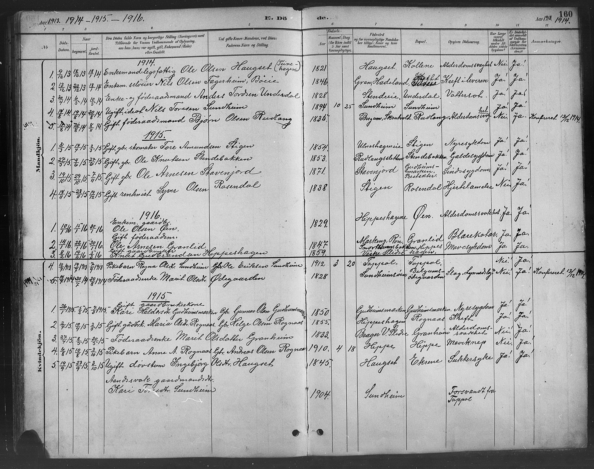 Nord-Aurdal prestekontor, SAH/PREST-132/H/Ha/Hab/L0008: Parish register (copy) no. 8, 1883-1916, p. 160