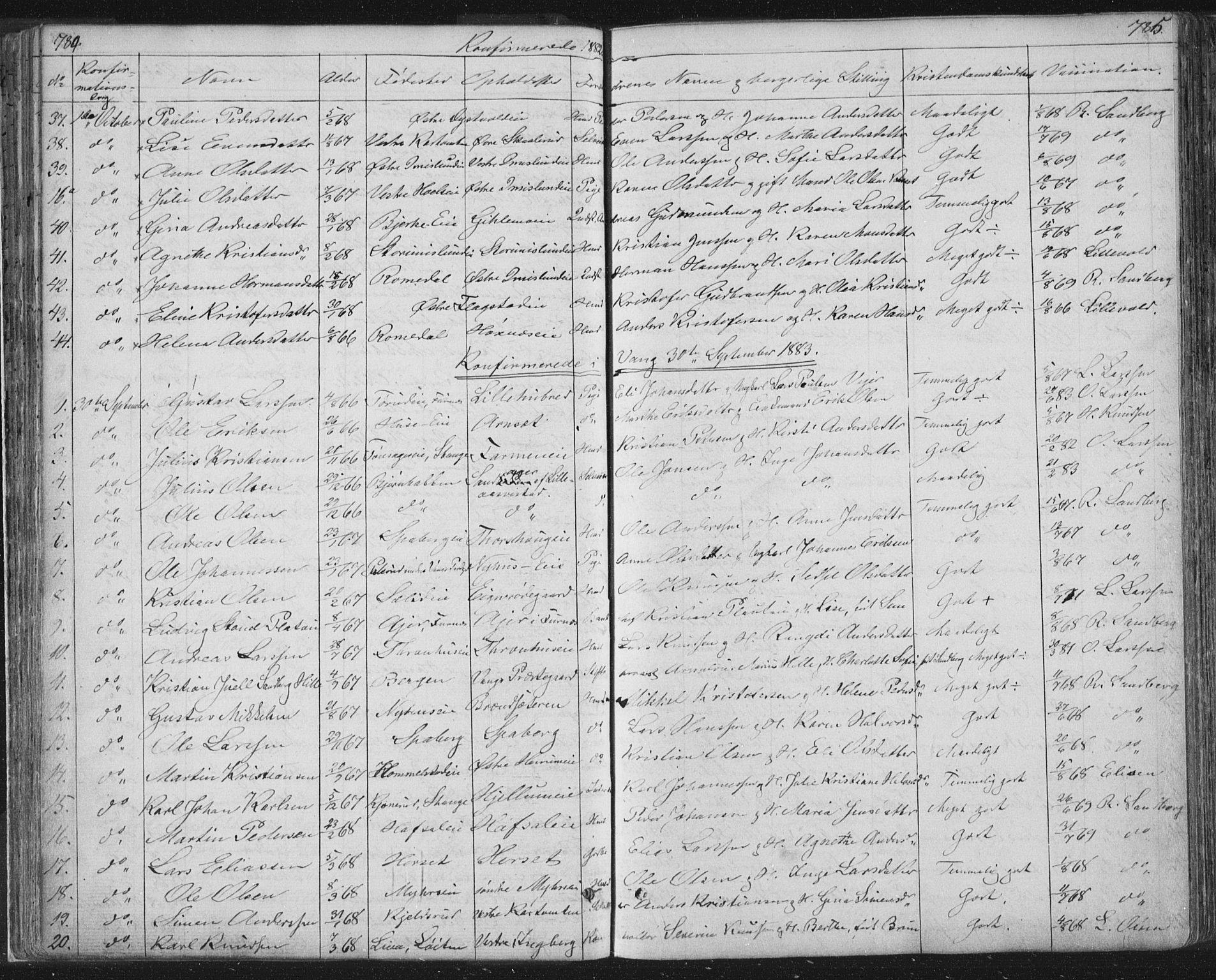 Vang prestekontor, Hedmark, AV/SAH-PREST-008/H/Ha/Hab/L0010B: Parish register (copy) no. 10b, 1854-1896, p. 784-785