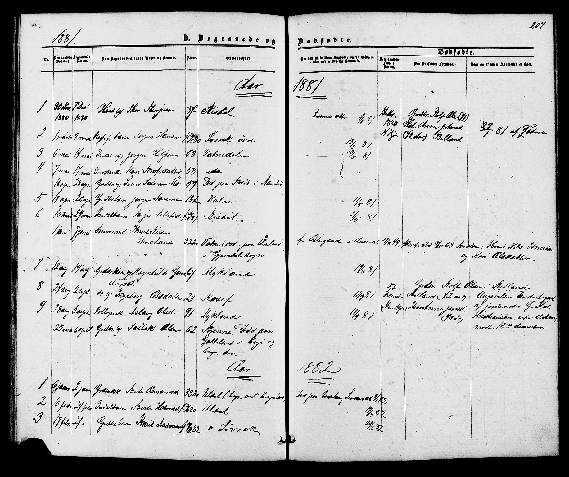 Herefoss sokneprestkontor, AV/SAK-1111-0019/F/Fb/Fbc/L0002: Parish register (copy) no. B 2, 1867-1886, p. 204