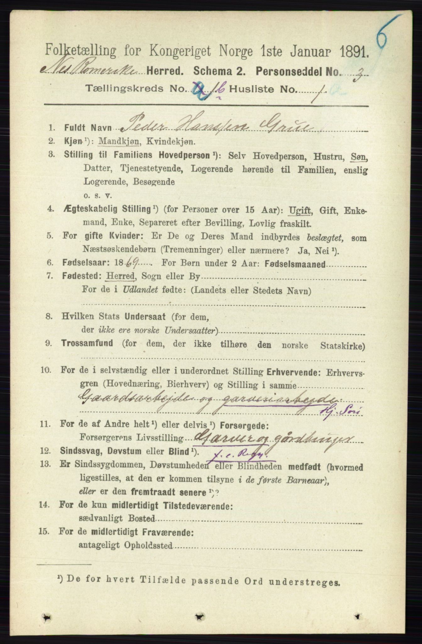 RA, 1891 census for 0236 Nes, 1891, p. 712