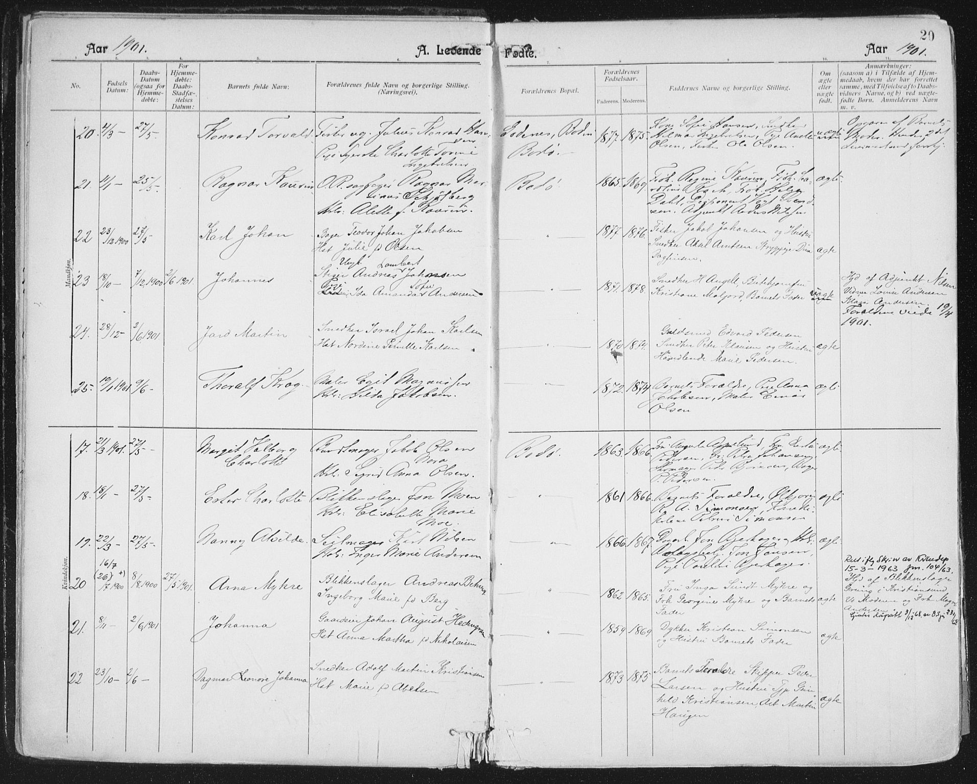 Ministerialprotokoller, klokkerbøker og fødselsregistre - Nordland, AV/SAT-A-1459/801/L0011: Parish register (official) no. 801A11, 1900-1916, p. 20