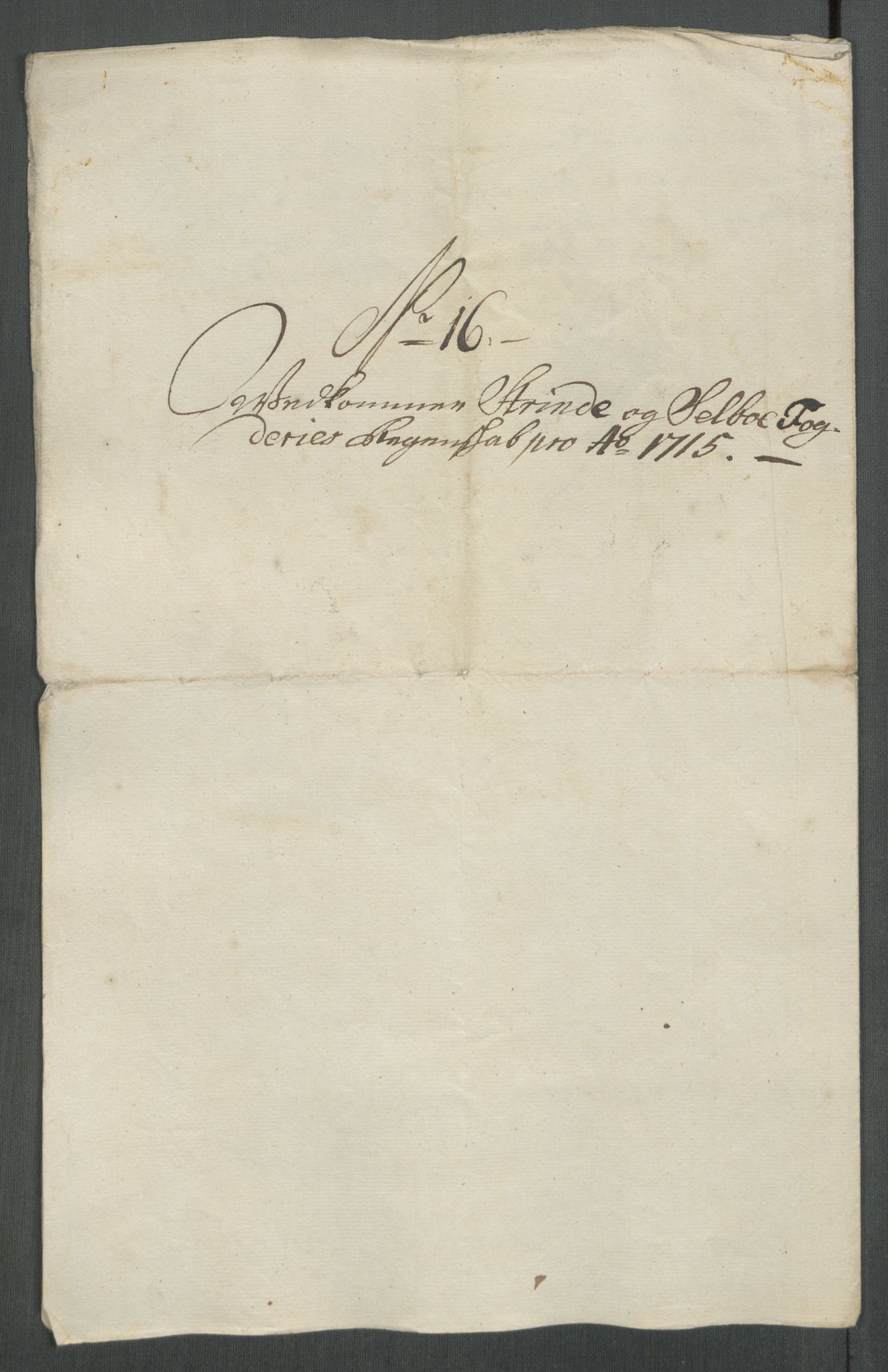 Rentekammeret inntil 1814, Reviderte regnskaper, Fogderegnskap, AV/RA-EA-4092/R61/L4115: Fogderegnskap Strinda og Selbu, 1715-1716, p. 140