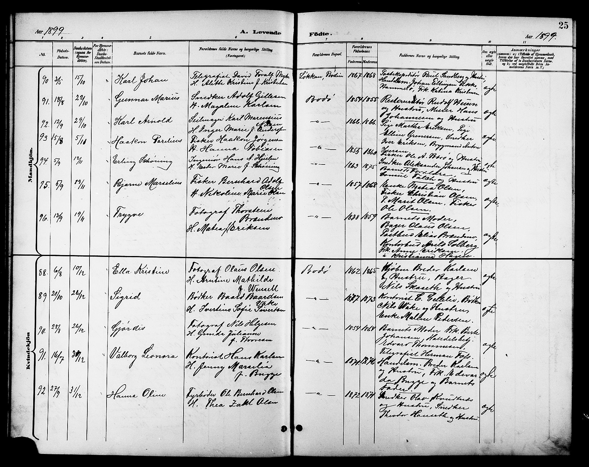 Ministerialprotokoller, klokkerbøker og fødselsregistre - Nordland, SAT/A-1459/801/L0033: Parish register (copy) no. 801C08, 1898-1910, p. 25