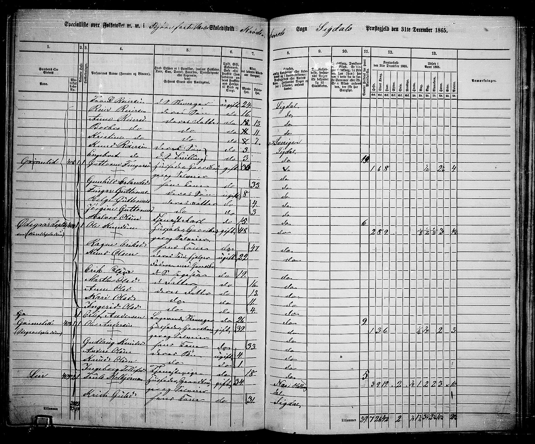 RA, 1865 census for Sigdal, 1865, p. 236