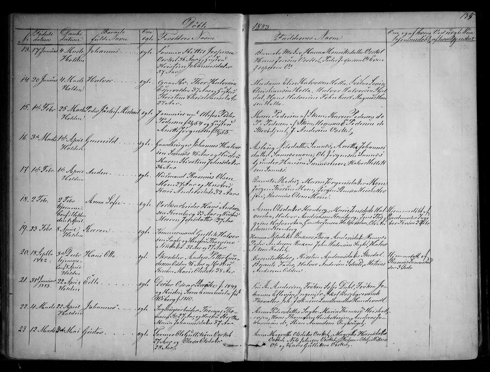 Holla kirkebøker, AV/SAKO-A-272/G/Ga/L0004: Parish register (copy) no. I 4, 1867-1890, p. 135