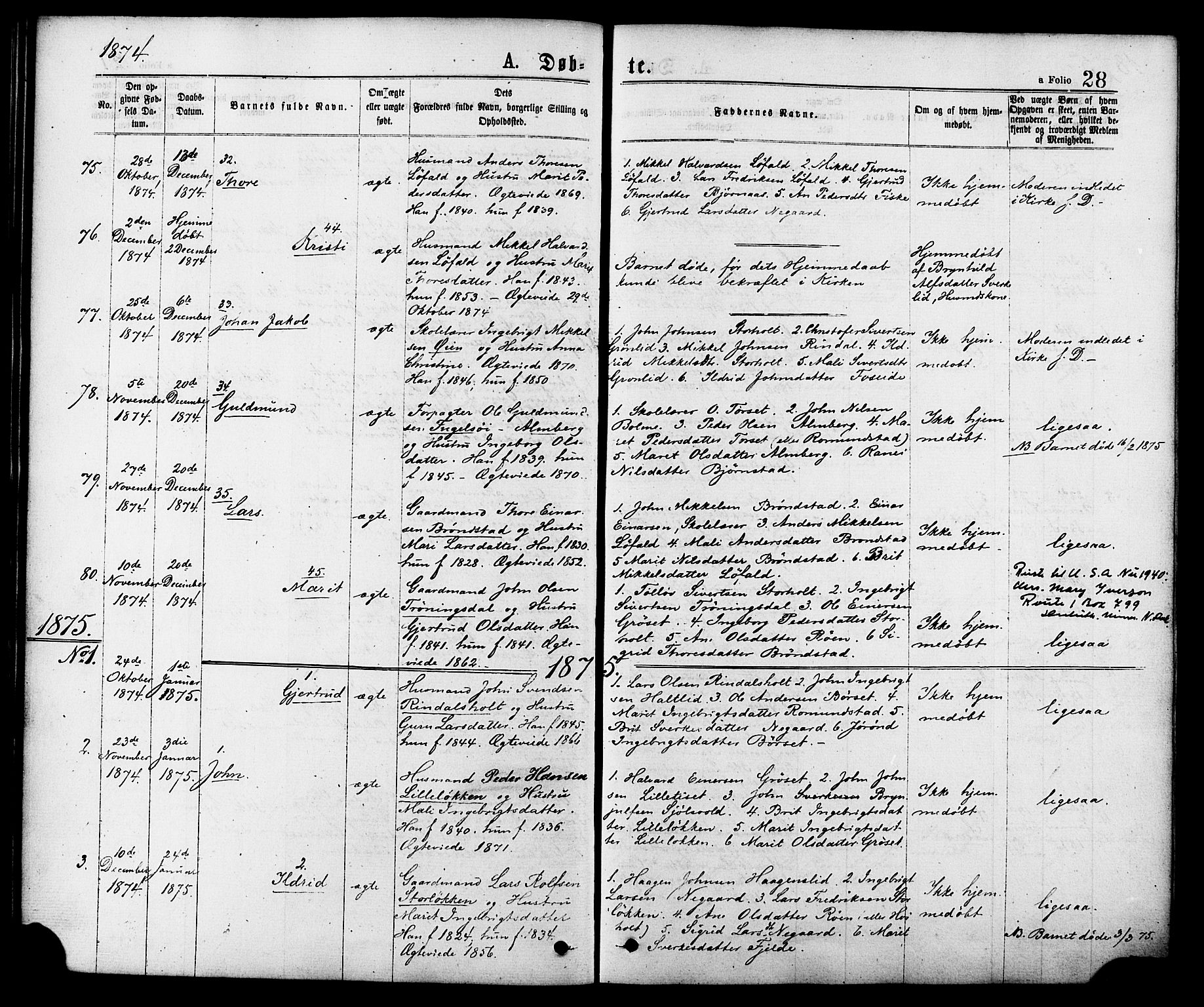 Ministerialprotokoller, klokkerbøker og fødselsregistre - Møre og Romsdal, AV/SAT-A-1454/598/L1068: Parish register (official) no. 598A02, 1872-1881, p. 28