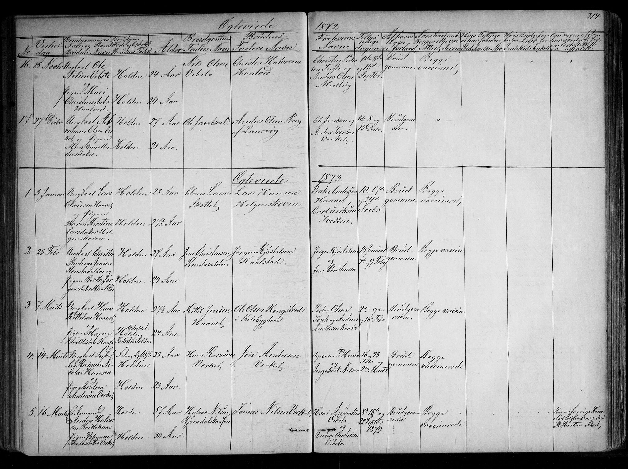 Holla kirkebøker, AV/SAKO-A-272/G/Ga/L0004: Parish register (copy) no. I 4, 1867-1890, p. 314